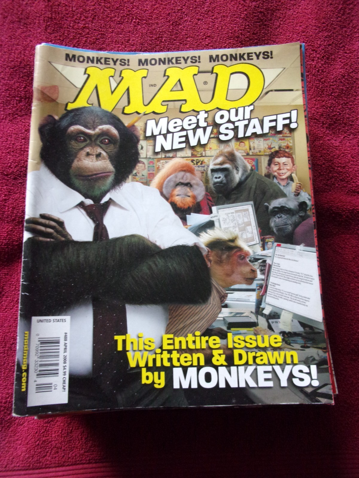 MAD MAGAZINE #488 4/2008 – MEET OUR NEW STAFF – BAGGED & BOARDED -NEAR MINT!!