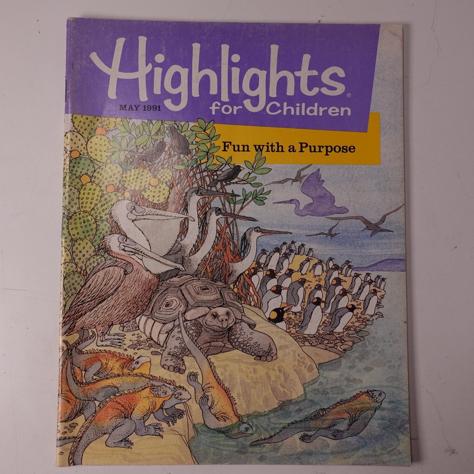 Highlights for Children Magazine May 1991 #478 Galapagos Animals Kids Puzzles