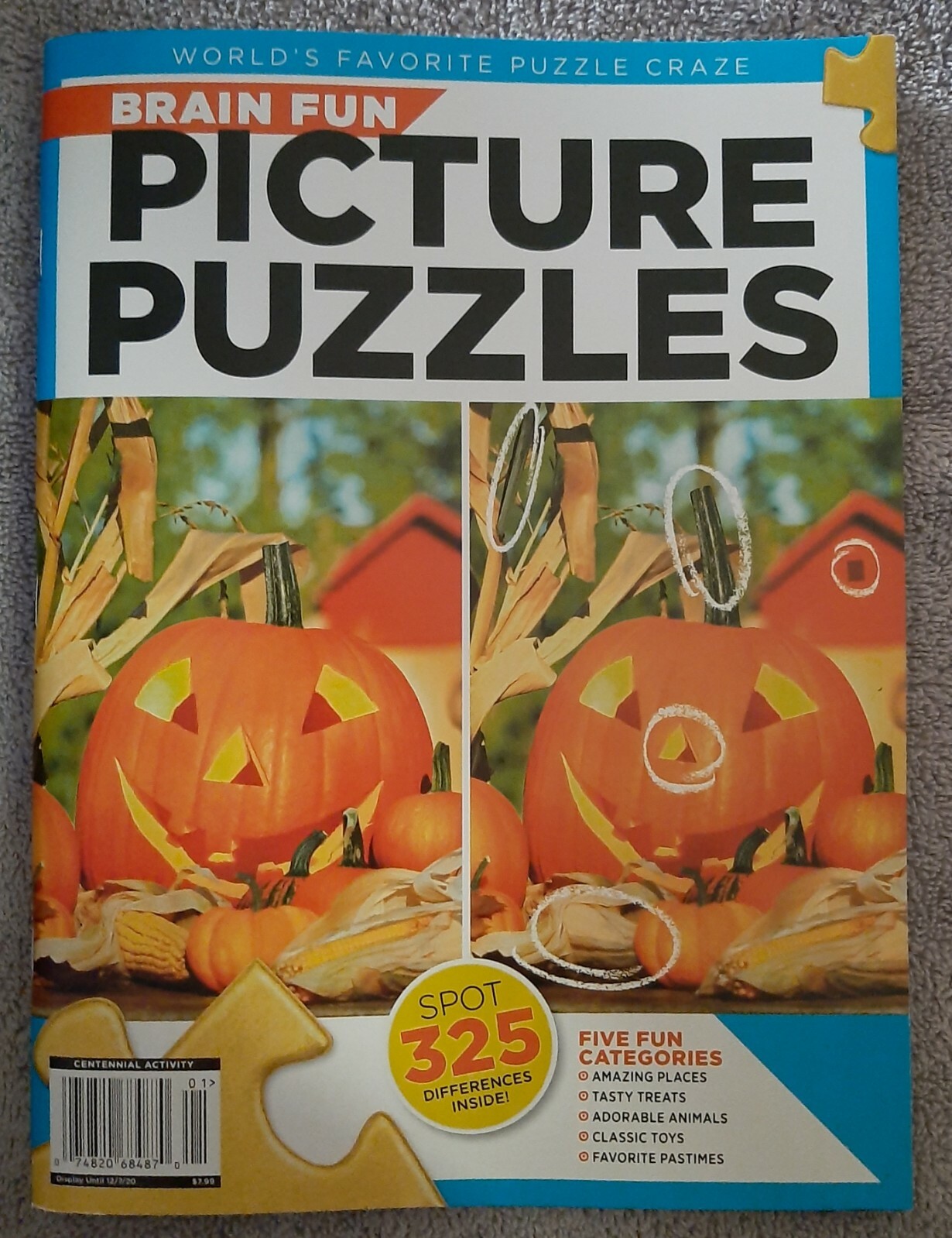 Brain Fun Picture Puzzles Spot 325 Differences Magazine – 5 Fun Categories FALL