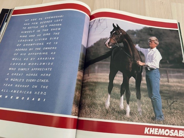 Lot of 3 Arabian Horse World July 1985 1992 April 1991 Khemosabi Crabbet Polish