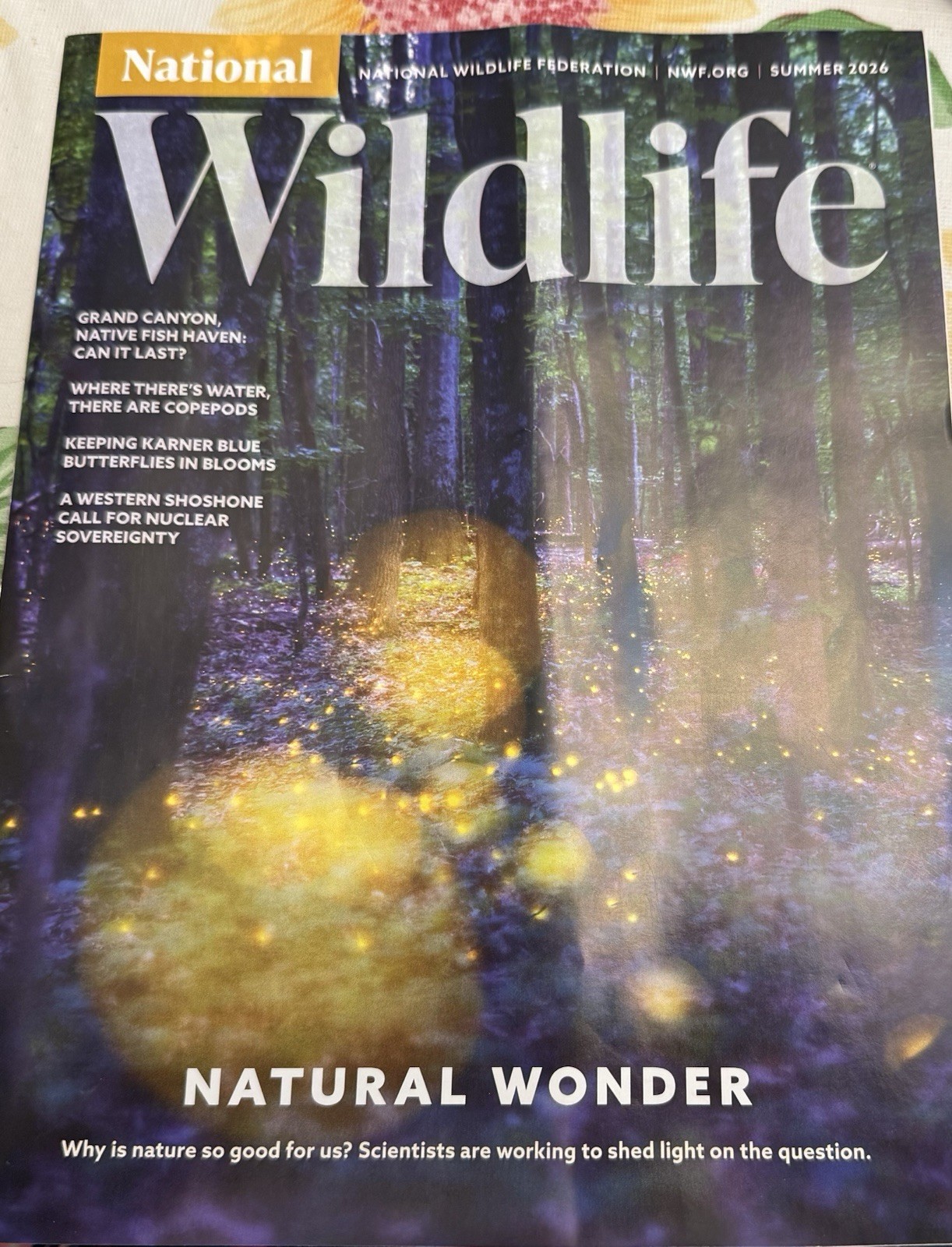 National WILDLIFE Federation Magazine – Summer 2026