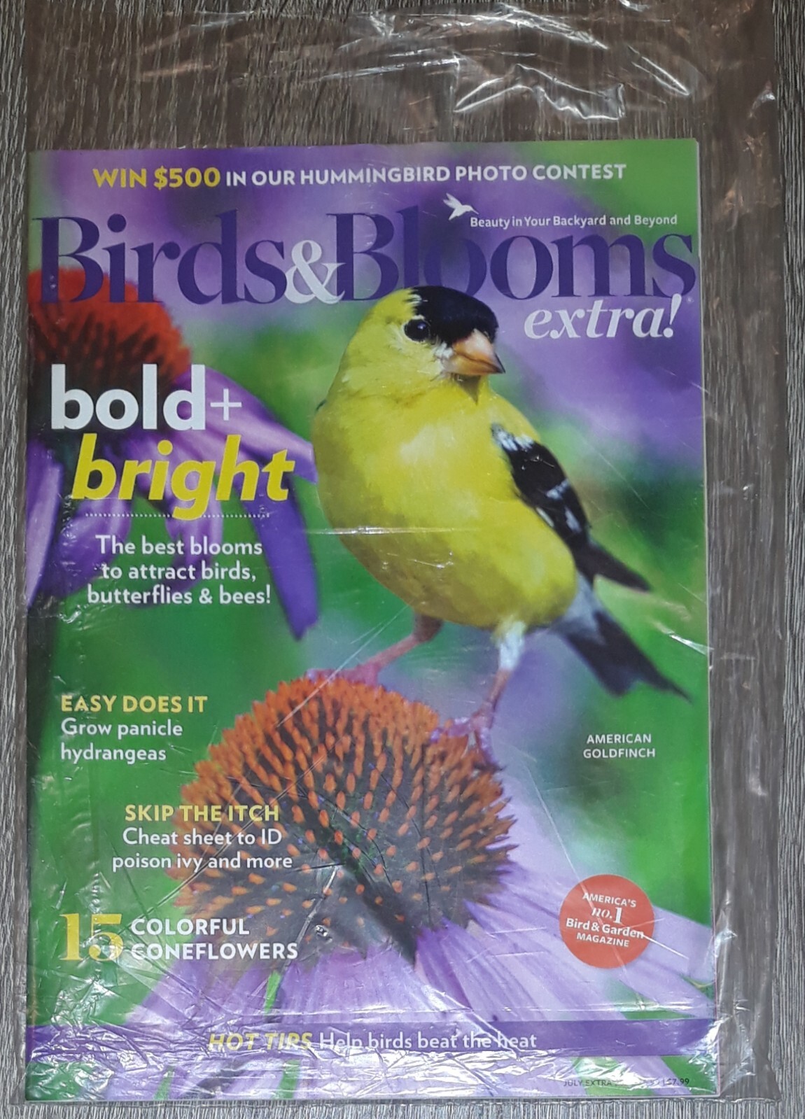 Birds & Blooms July Extra 2024 Bold & Bright American Goldfinch Issue