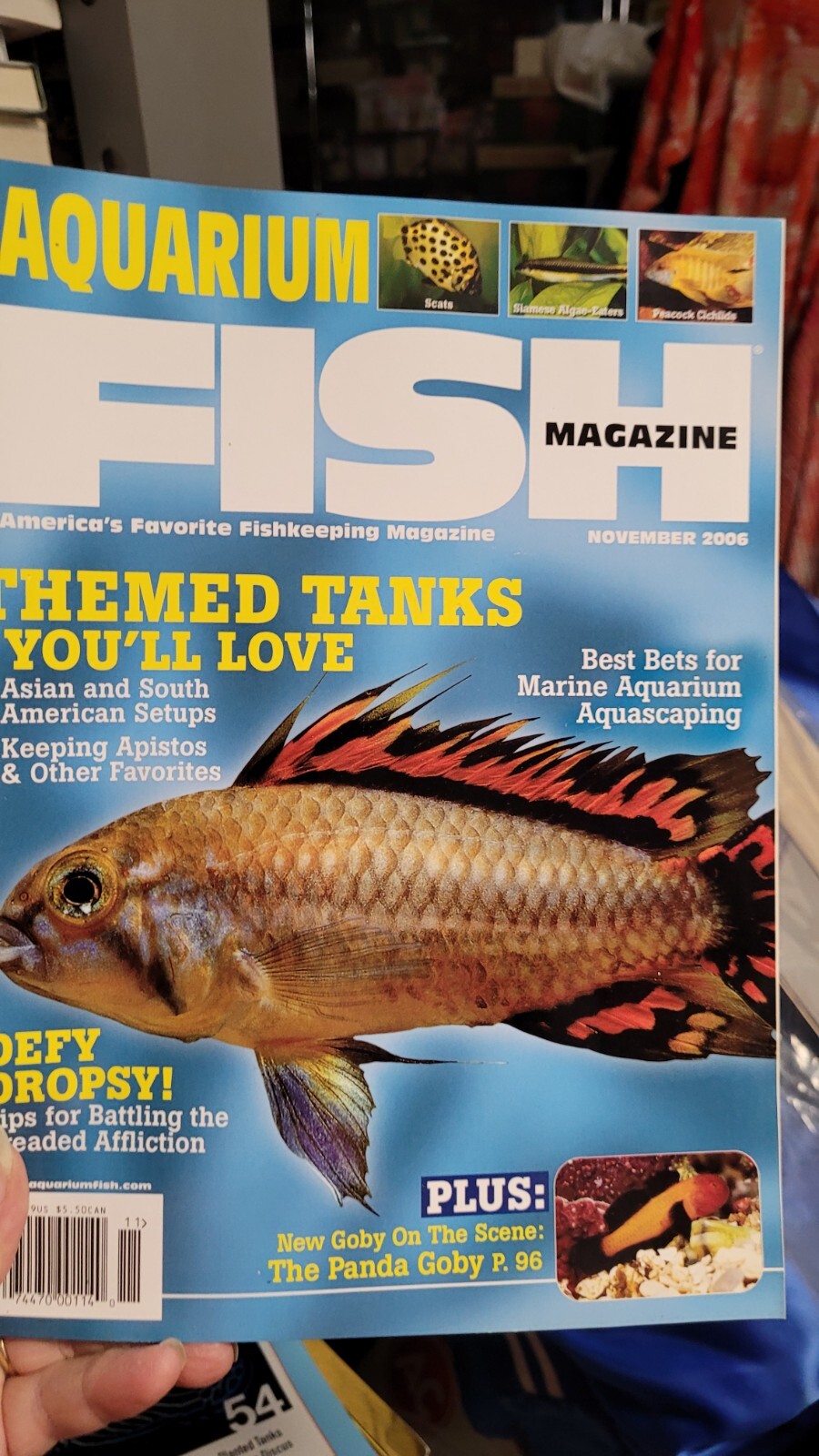 Aquarium FISH Magazine November 2006 featuring Themed Tanks