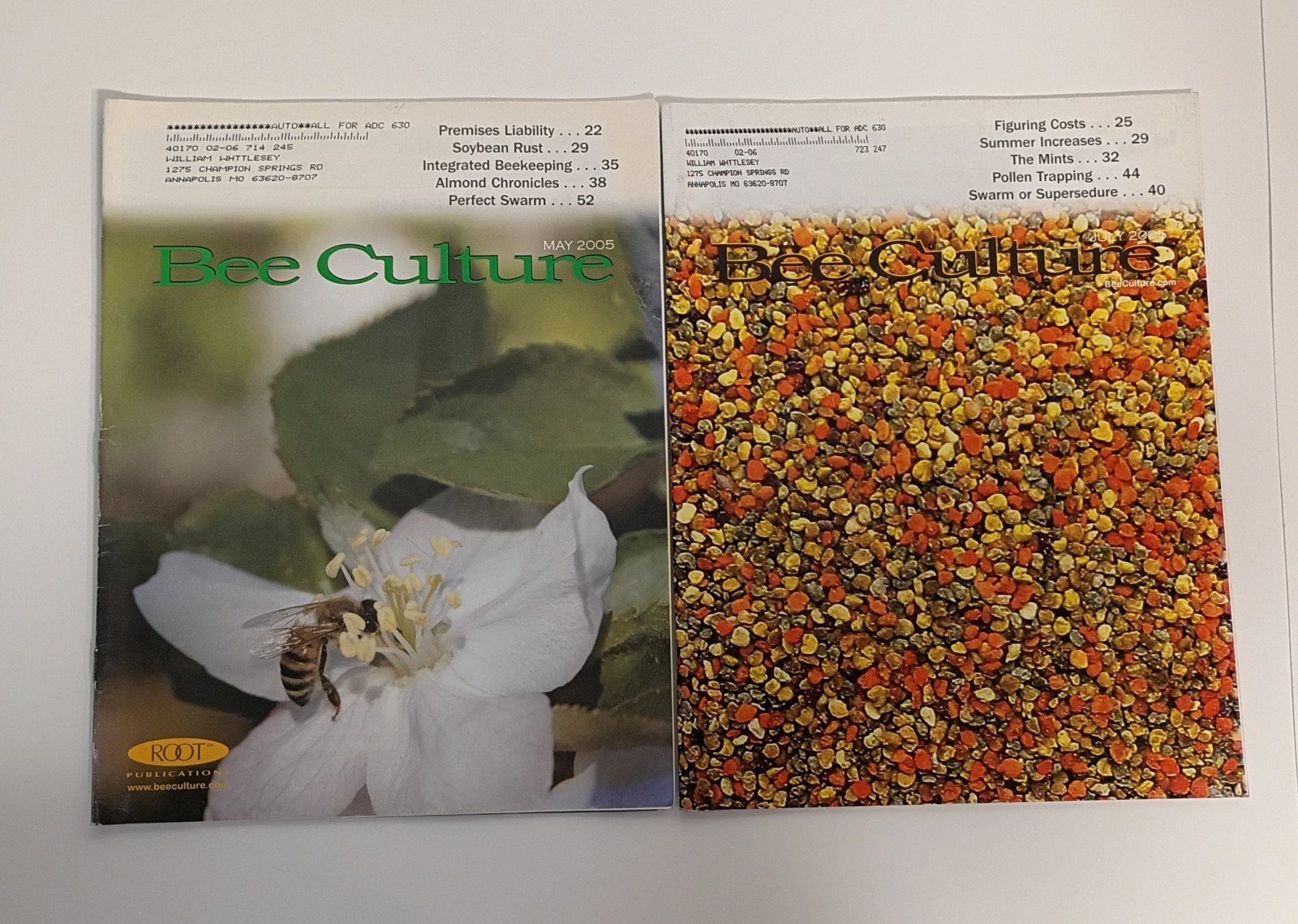 American Bee Culture Magazine Lot of 6 Issues, 2005-2006, Beekeeping Homestead