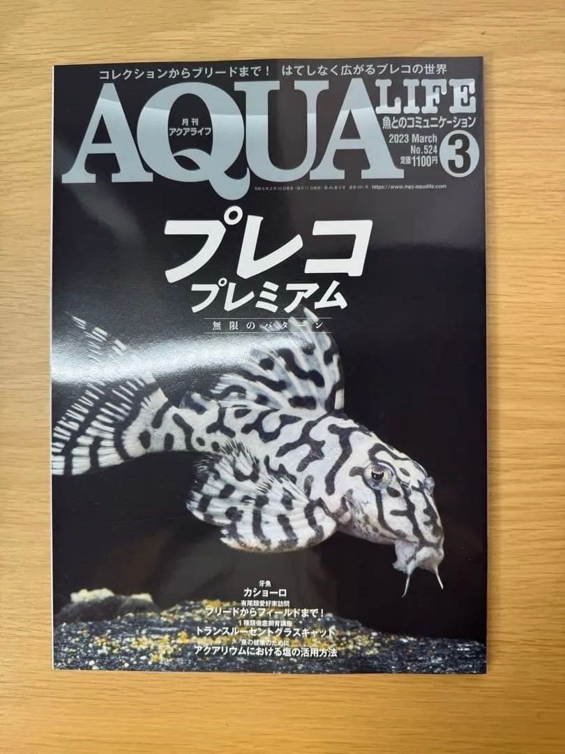 AQUA LIFE Back Numbers – 1 Year January to December 2023 Issues Used from Japan