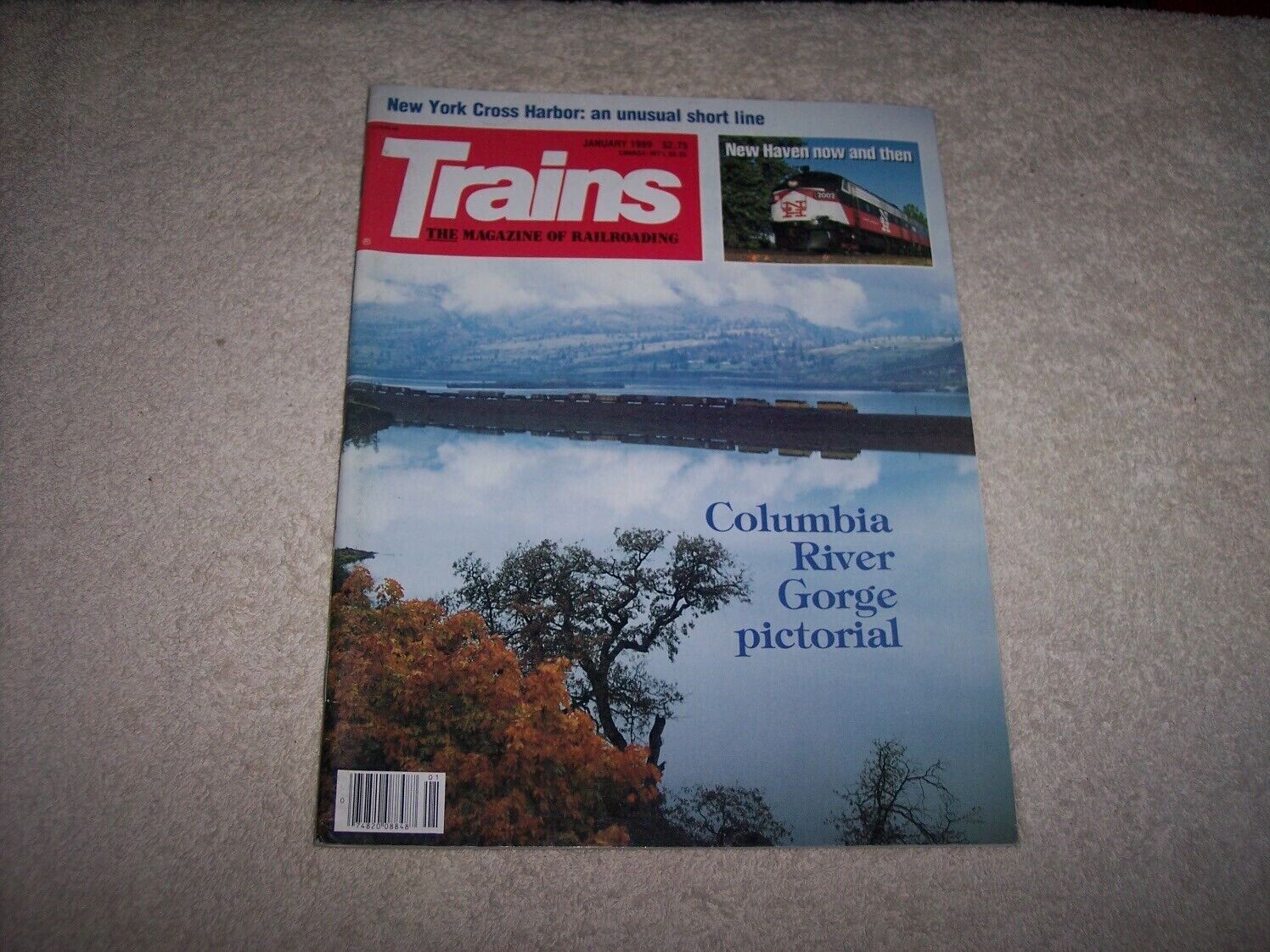 TRAINS: THE MAGAZINE OF RAILROADING JANUARY 1989 #482