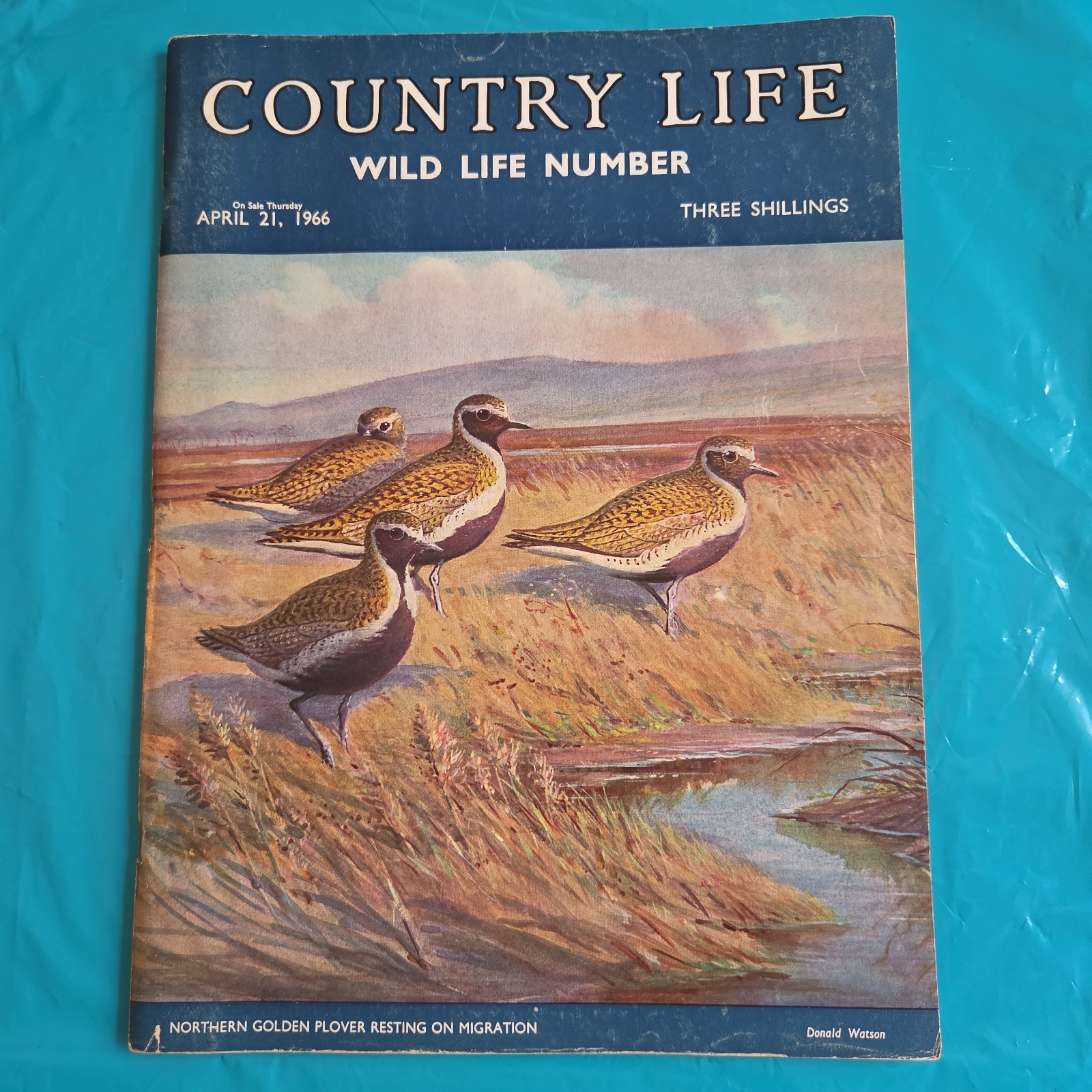 Vintage Country Life UK Magazine April 21 1966 British Wild Life Migration