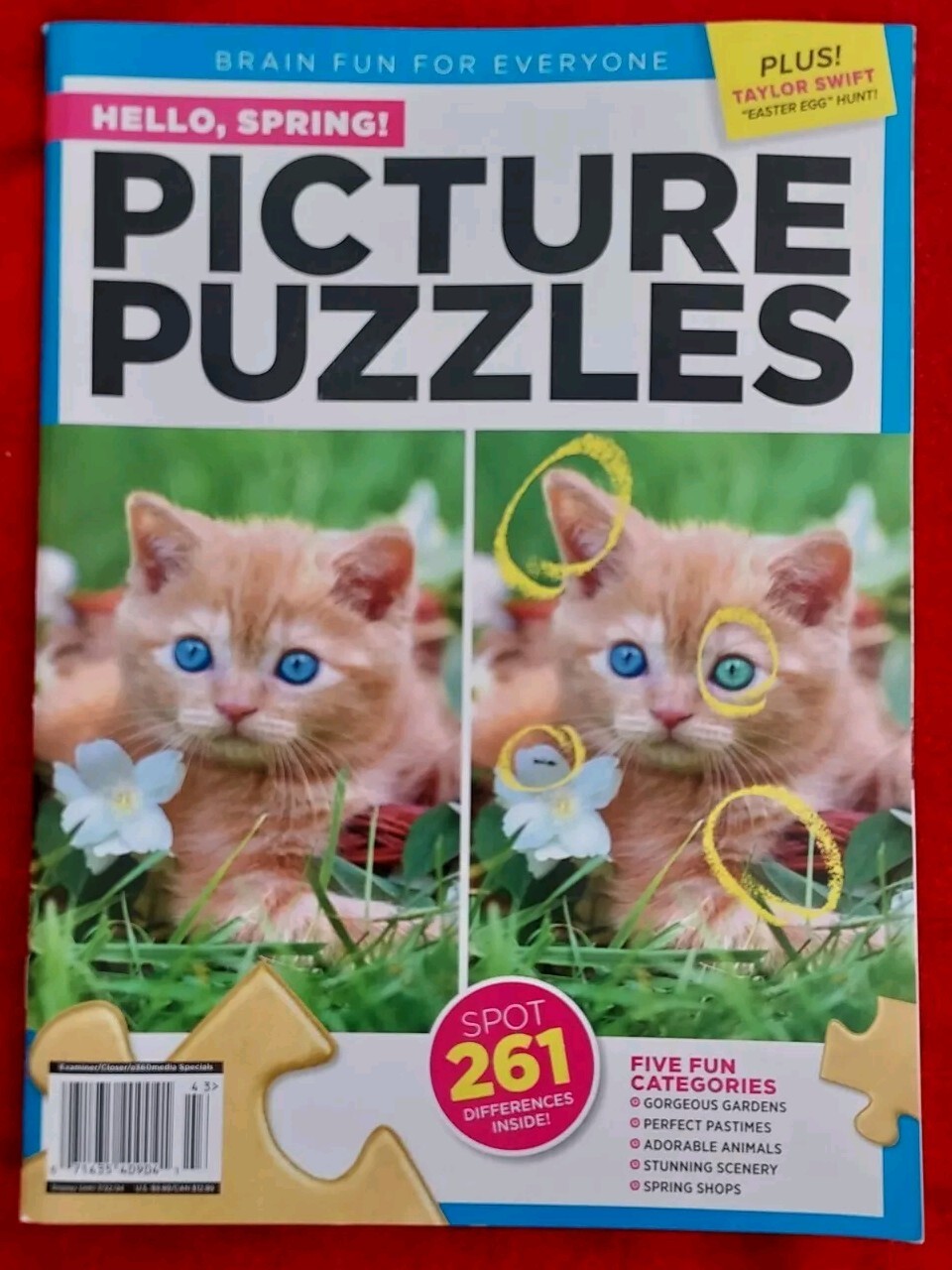 Brain Fun Picture Puzzles Spot 261 Differences Inside Magazine 5 Fun Categories