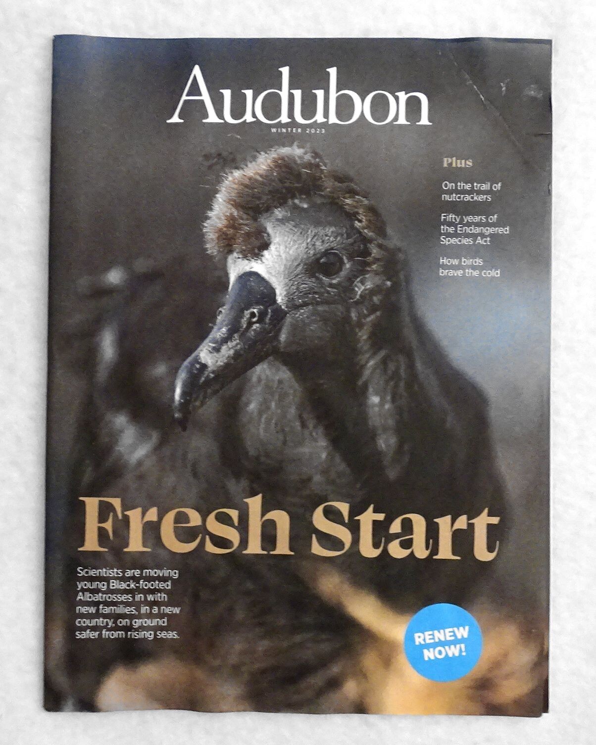 Audubon Magazine Winter 2023 New
