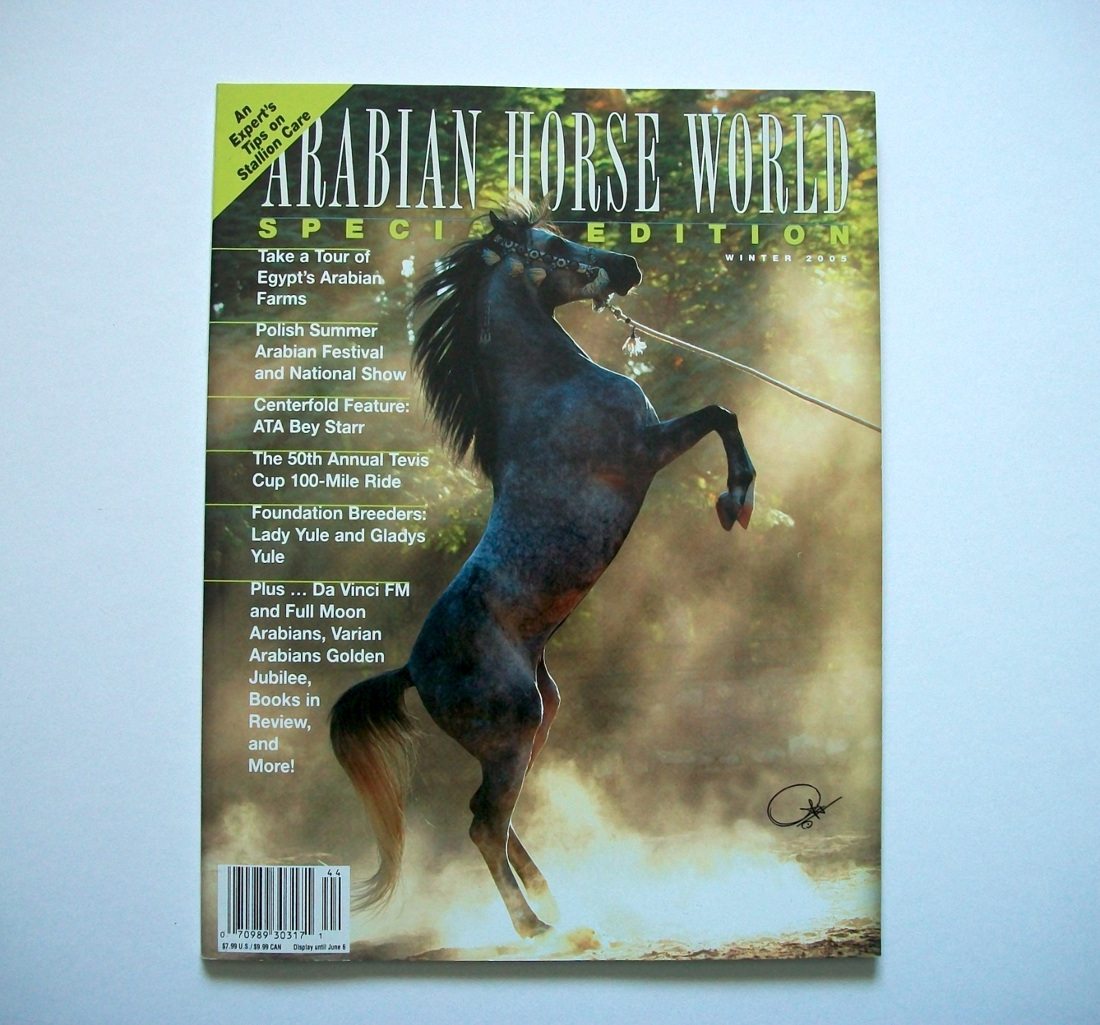 Arabian Horse World Magazine Winter 2005 Horses Poster Photography Equestrian