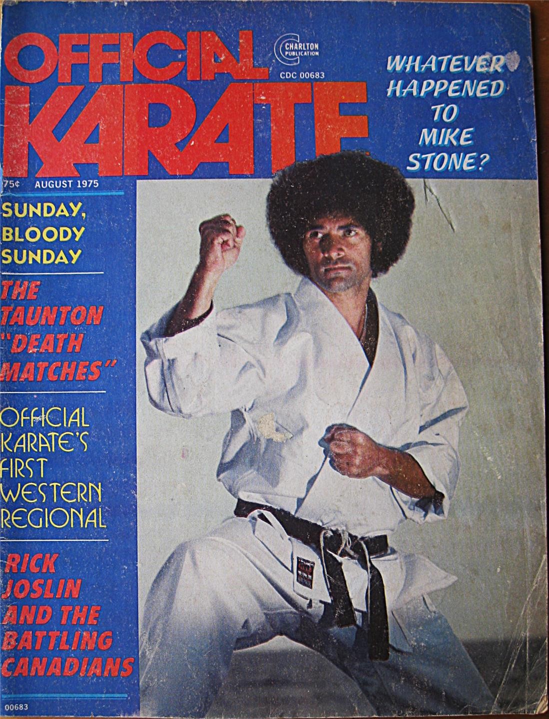 RARE 8/75 OFFICIAL KARATE RICK JOSLIN MIKE STONE BLACK BELT KUNG FU MARTIAL ART