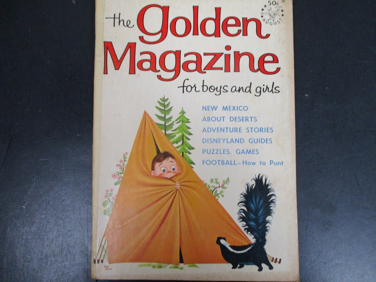 The Golden Magazine August 1965 Camping Skunk Boy Adventure Stories Kids