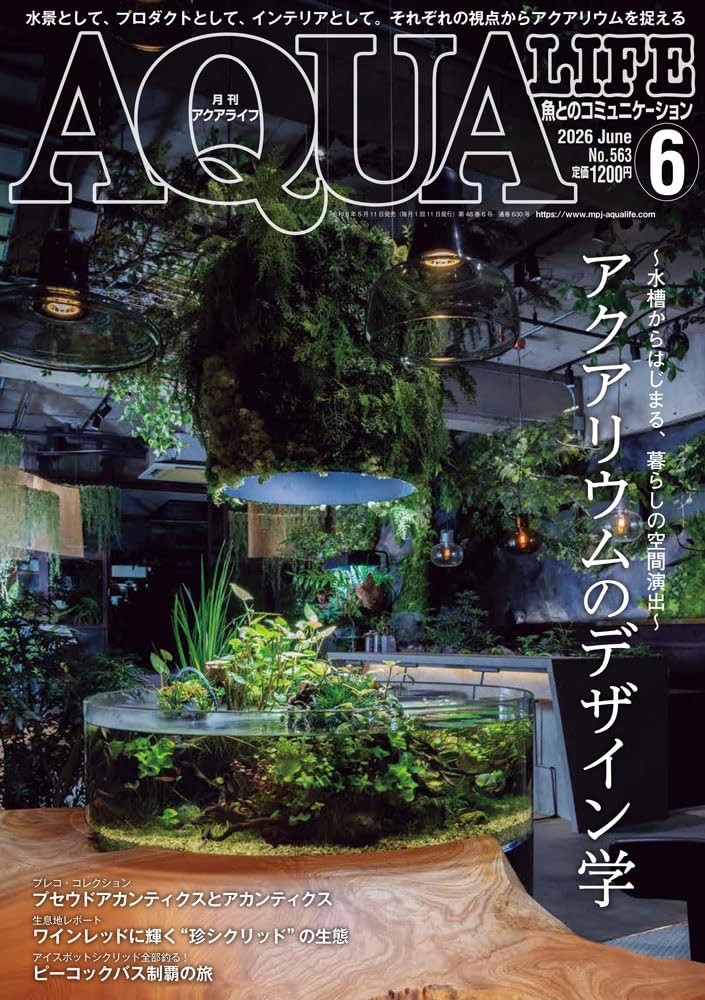 AQUA LIFE Jun 2026 Aqua Marine Culture Book Japan