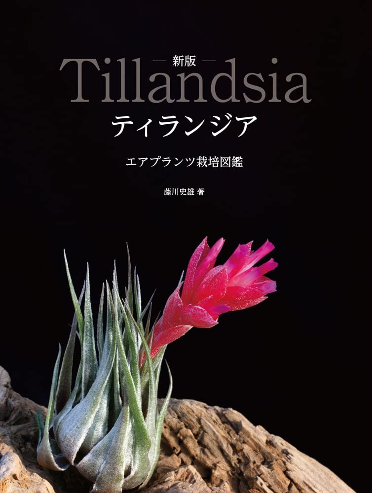 Tillandsia Air Plants Cultivation Guide (Aqua Life Book): Revised Edition