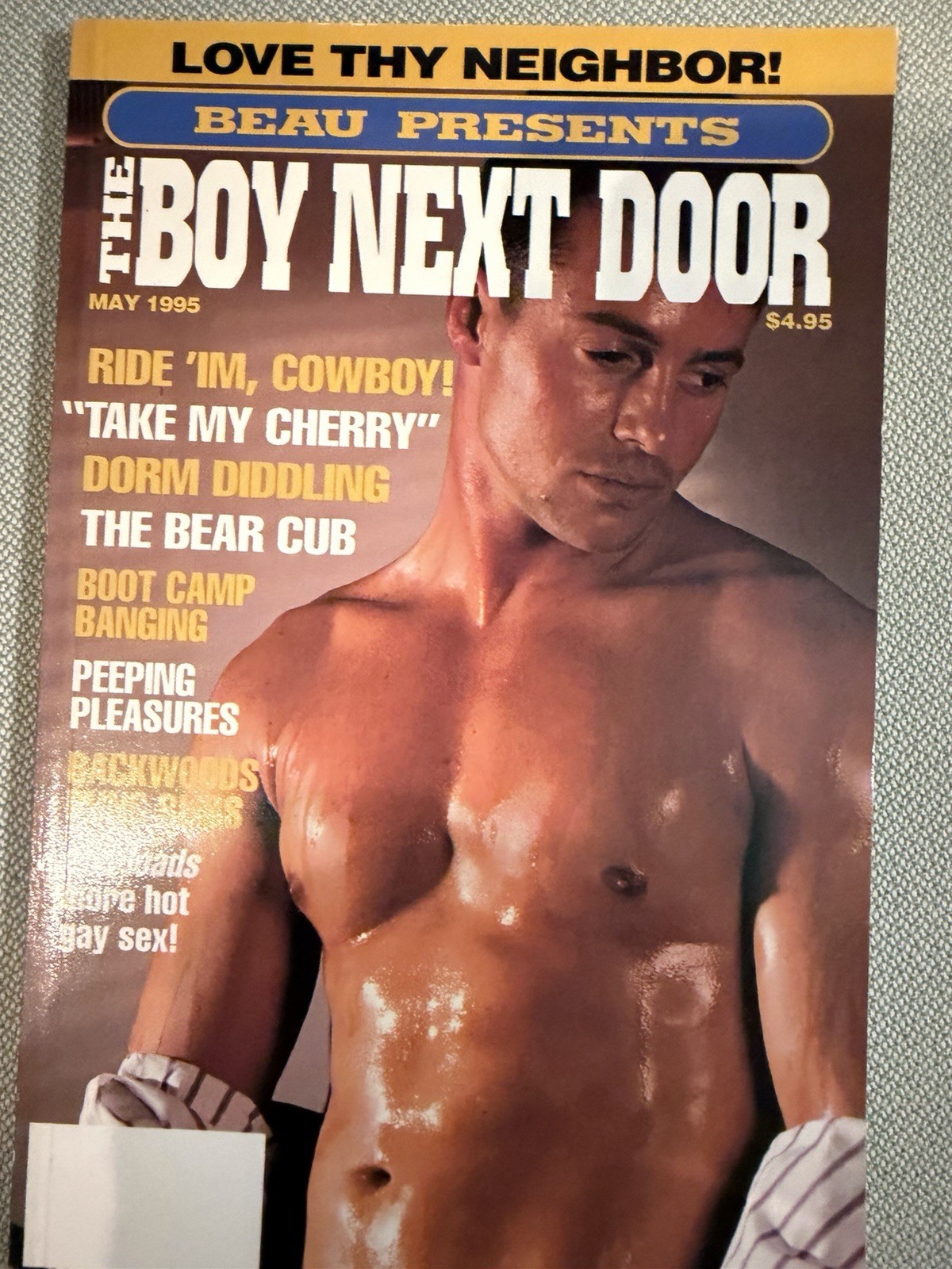 VINTAGE BOY NEXT DOOR GAY PAPERBACK * *MAY 1995