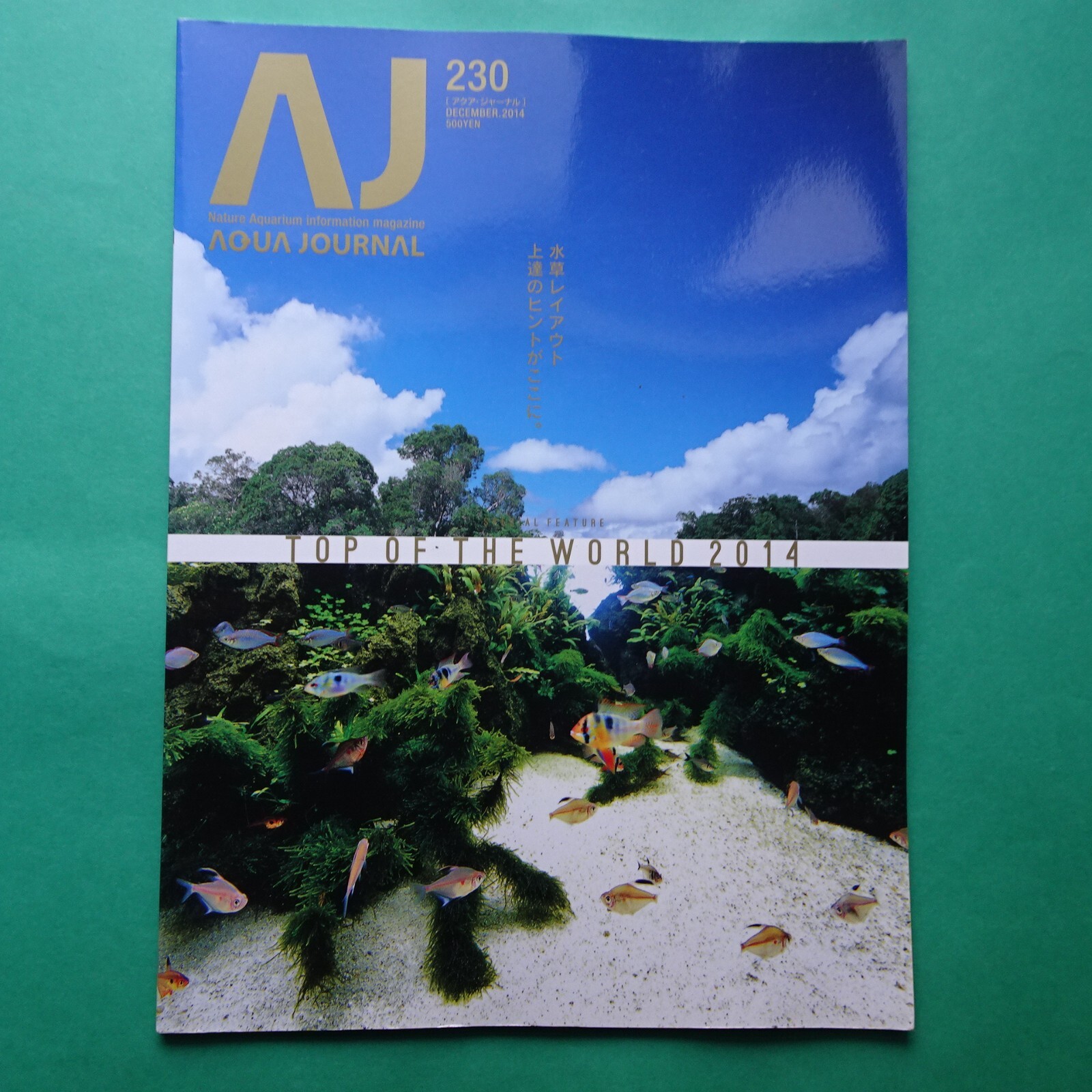 Aqua Journal No.230 Aqua Design AMANO Japan 2014 Dec Top of the World WideA4