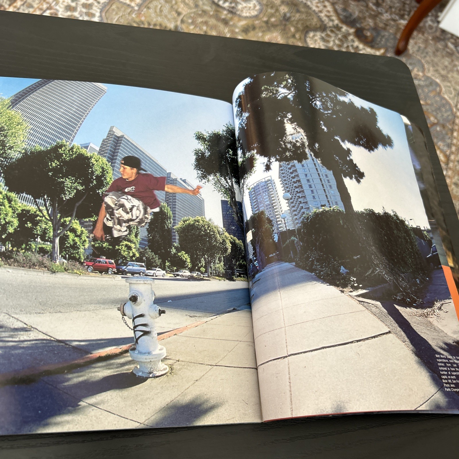 Daily Bread Magazine-Issue #13 Senate Aggressive Inline Skate Rare 90s Arlo