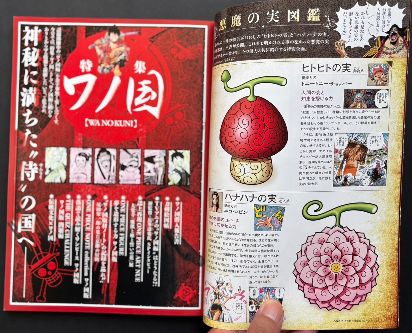 ONE PIECE Magazine Vol. 6 Wano Country Art Book Eiichiro Oda Used Japan