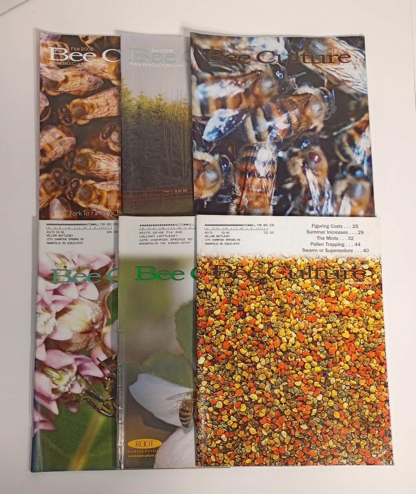 American Bee Culture Magazine Lot of 6 Issues, 2005-2006, Beekeeping Homestead