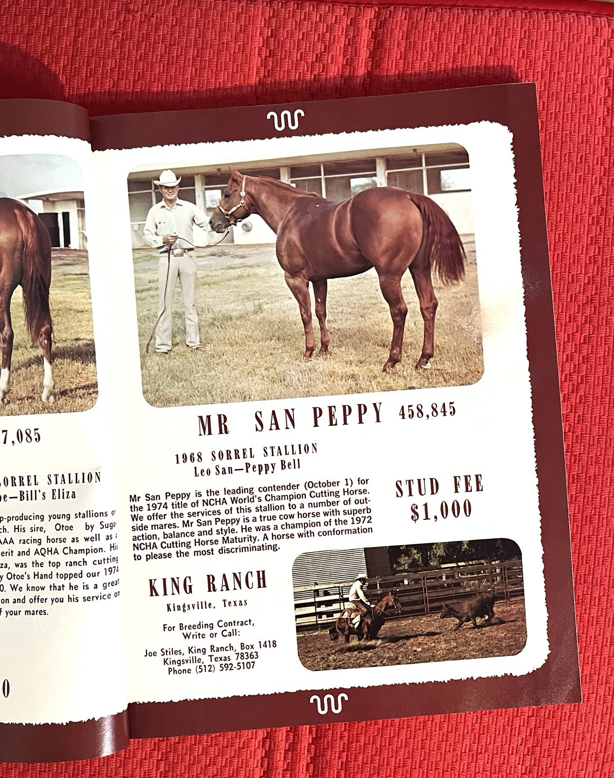WOW!! 1974 Quarter Horse Journal, Book – MR GUN SMOKE – MR SAN PEPPY – DOC BAR