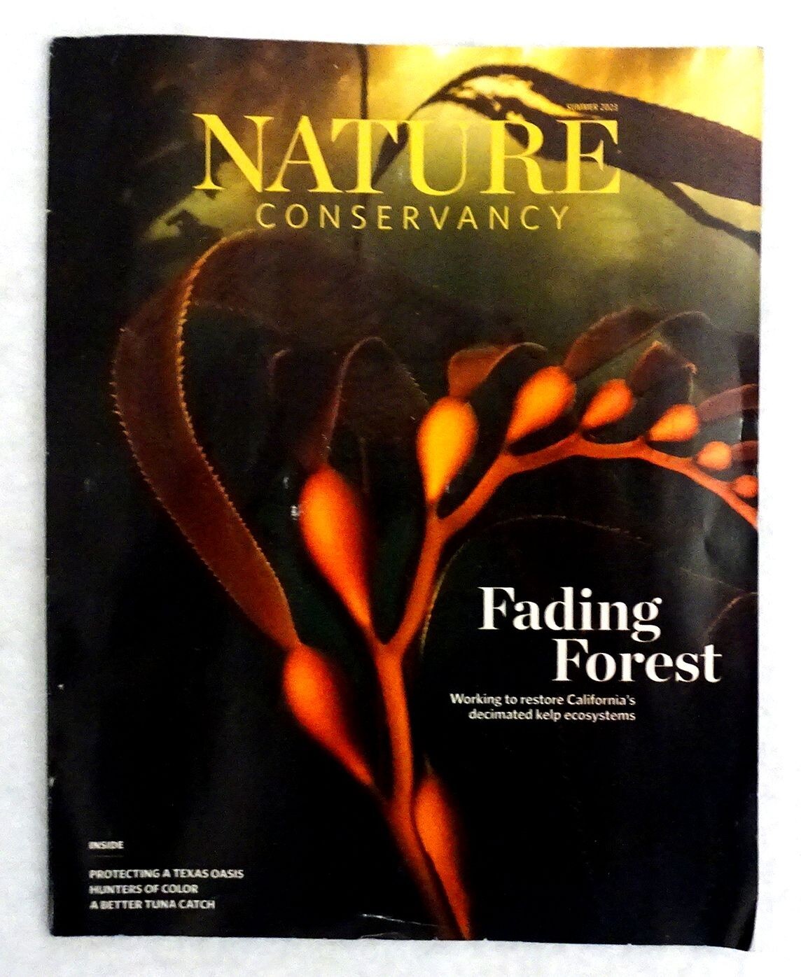 Nature Conservancy Magazine Summer 2023 «Fading Forest»