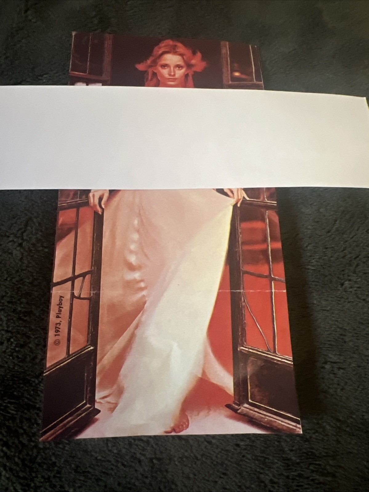Glossy Mini Poster Of CenterfoldFor Playboy Puzzles. Miss ??? Not Sure Of Name