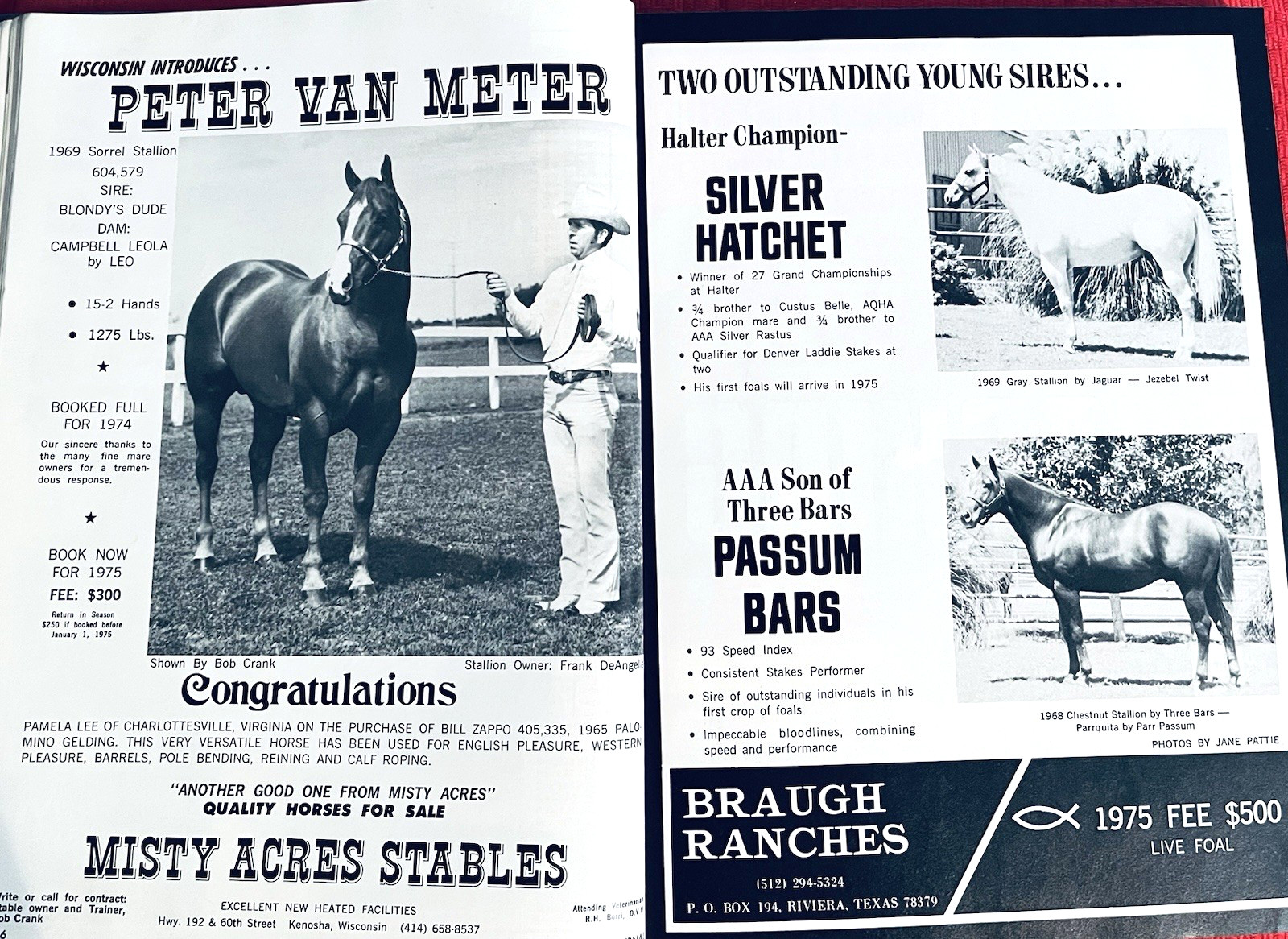 WOW!! 1974 Quarter Horse Journal, Book – MR GUN SMOKE – MR SAN PEPPY – DOC BAR