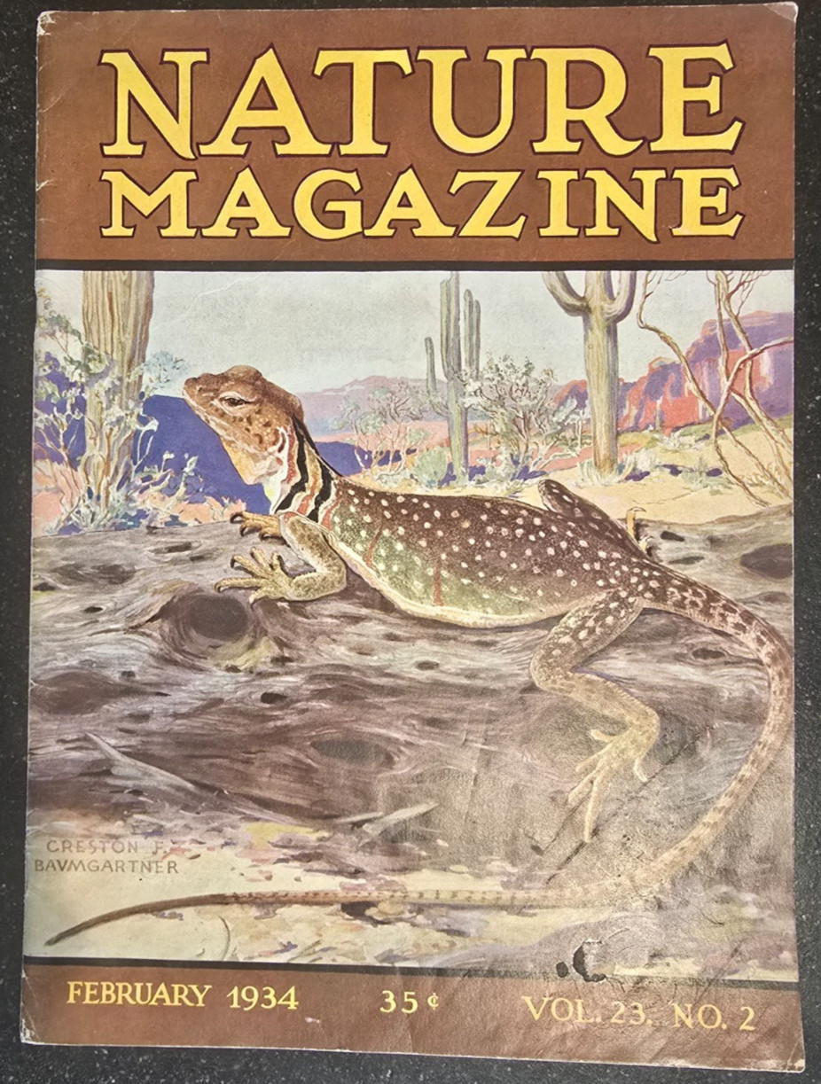 #1 Nature Magazine, February, 1934, Complete, Clean