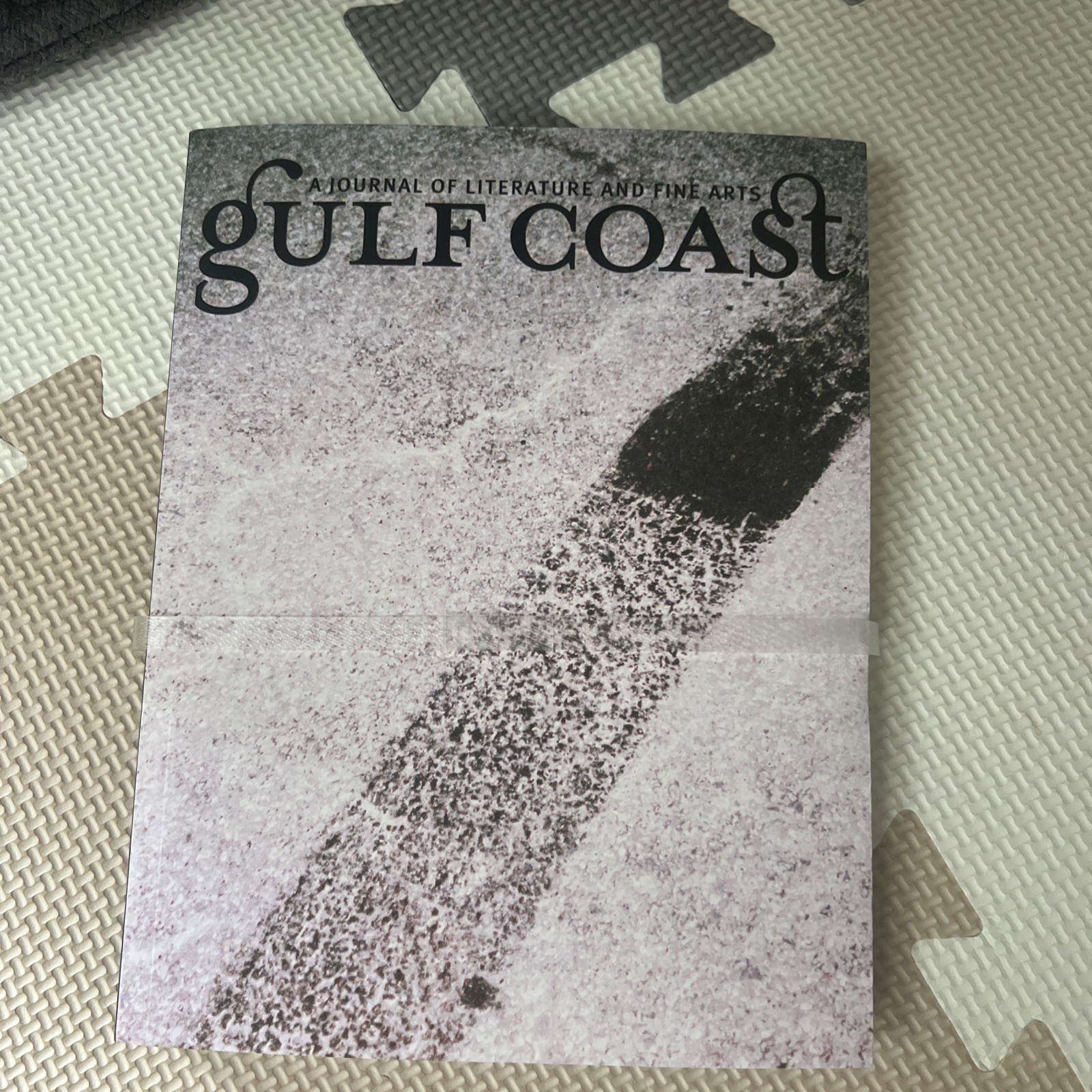 Gulf Coast: A Journal Of Literature And Fine Arts Summer/Fall 2026 Vol. 38 Issue