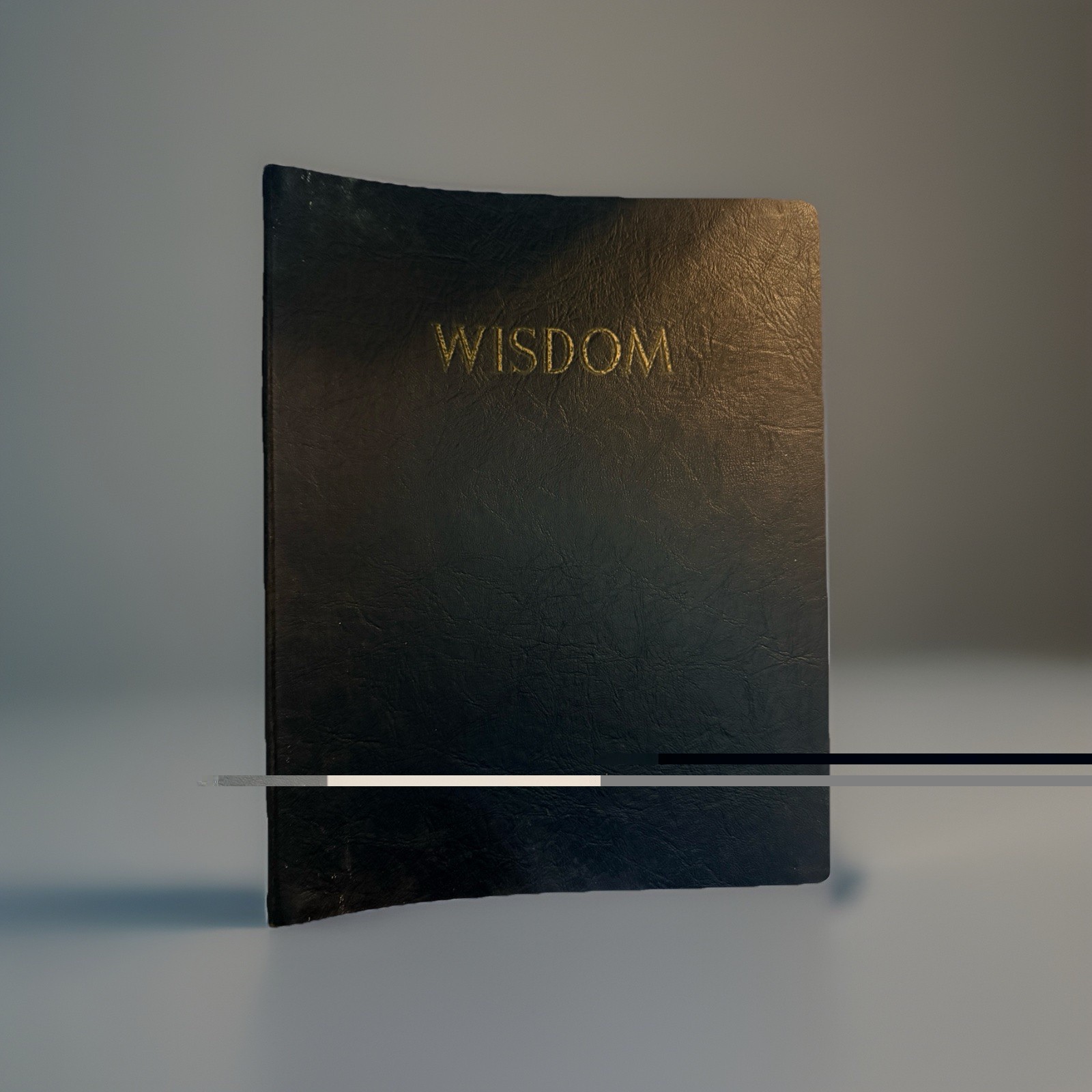 Wisdom Magazine Binder Volume I 1956 10 Issues total Karsh Covers Jesus Keller