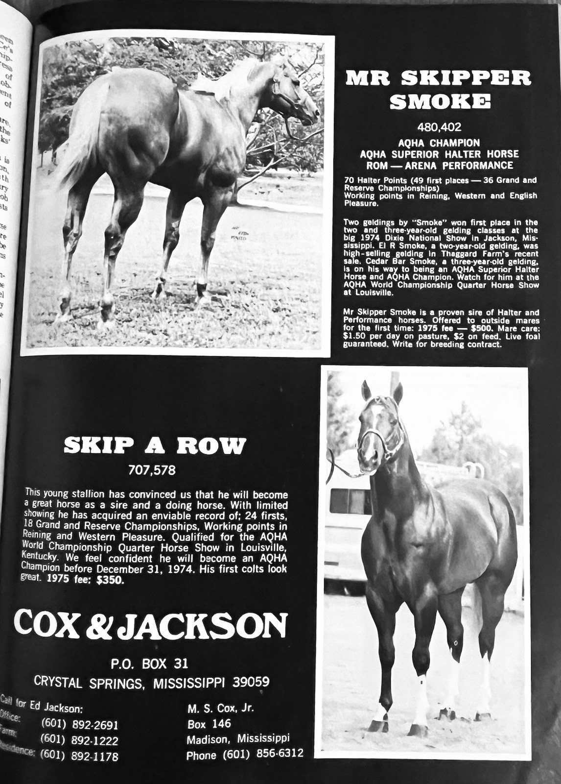 WOW!! 1974 Quarter Horse Journal, Book – MR GUN SMOKE – MR SAN PEPPY – DOC BAR