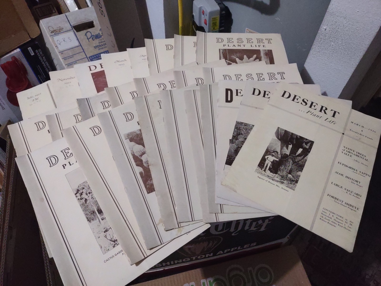 DESERT PLANT LIFE MAGAZINE 25 ISSUES FROM 1932, 1933, 1934, 1935, 1936 OUTDOOR