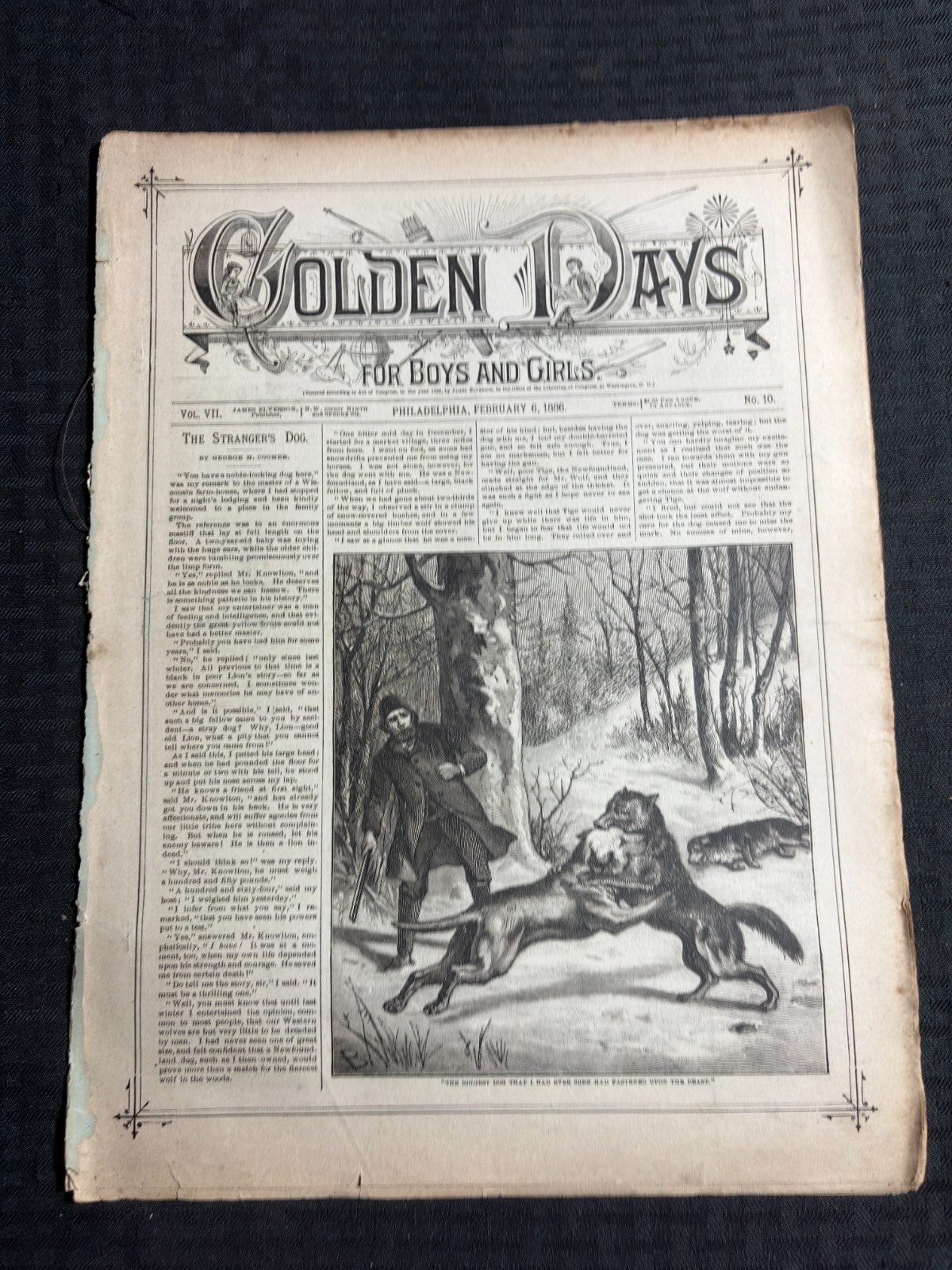1886 Feb 6 GOLDEN DAYS Magazine for Boys & Girls GD+ 2.5 The Stranger’s Dog