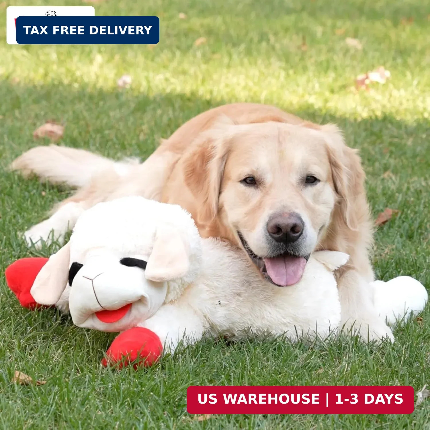 Multipet Lamb Chop Dog Plush Toy – Squeaky Toy for All Dogs – Extra Soft Plush –