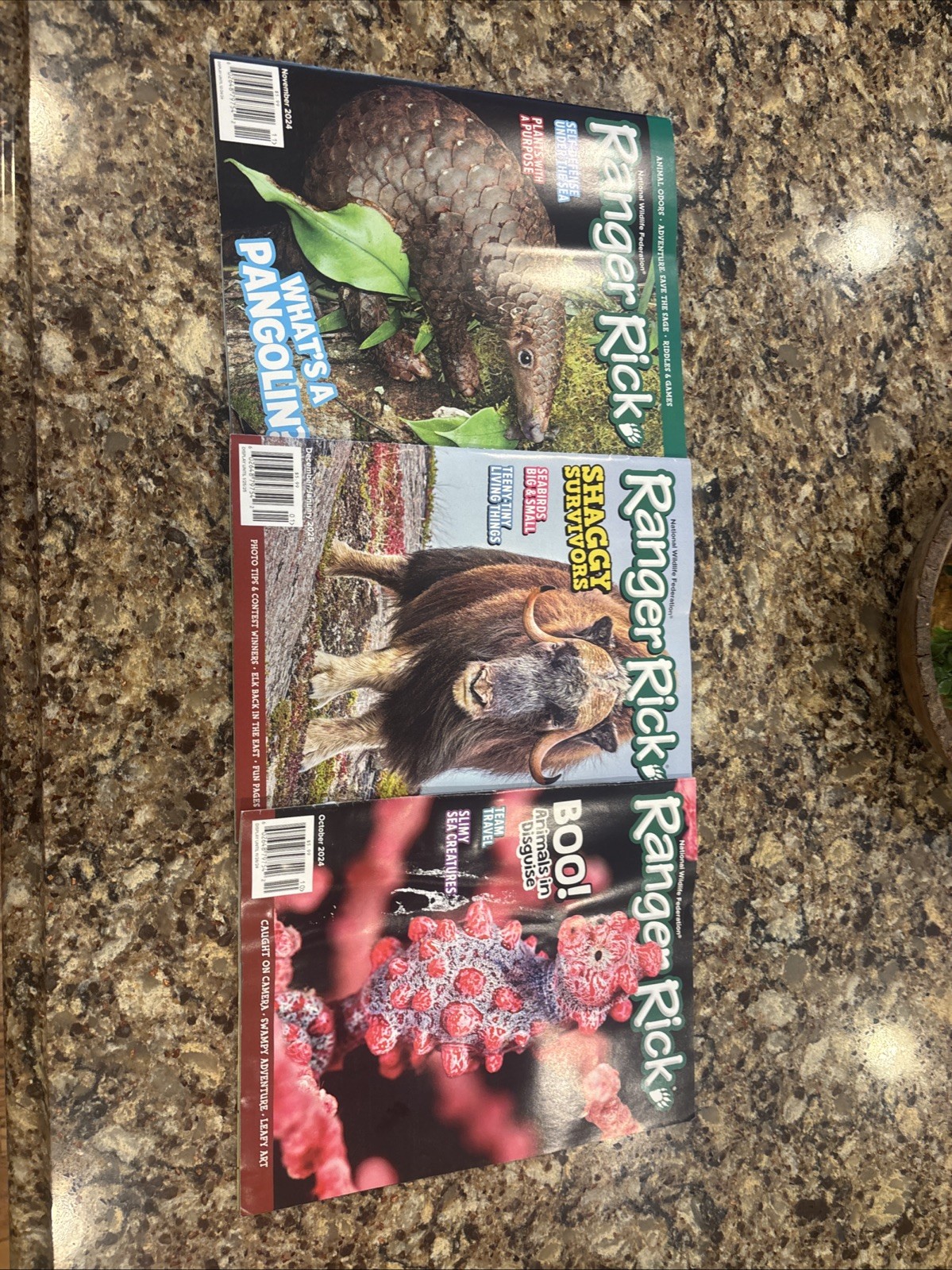 Ranger Rick Magazine Kids Animals Wildlife 2024-2025 Three Issues