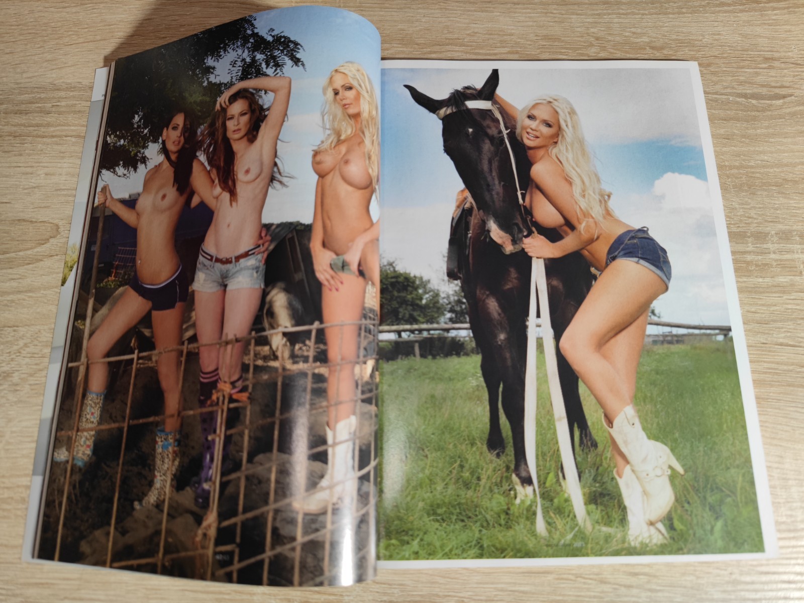 PLAYBOY Slovakia 09/2011 Lenka Cabanová Monika Hrajnohová Andrea Járová VG