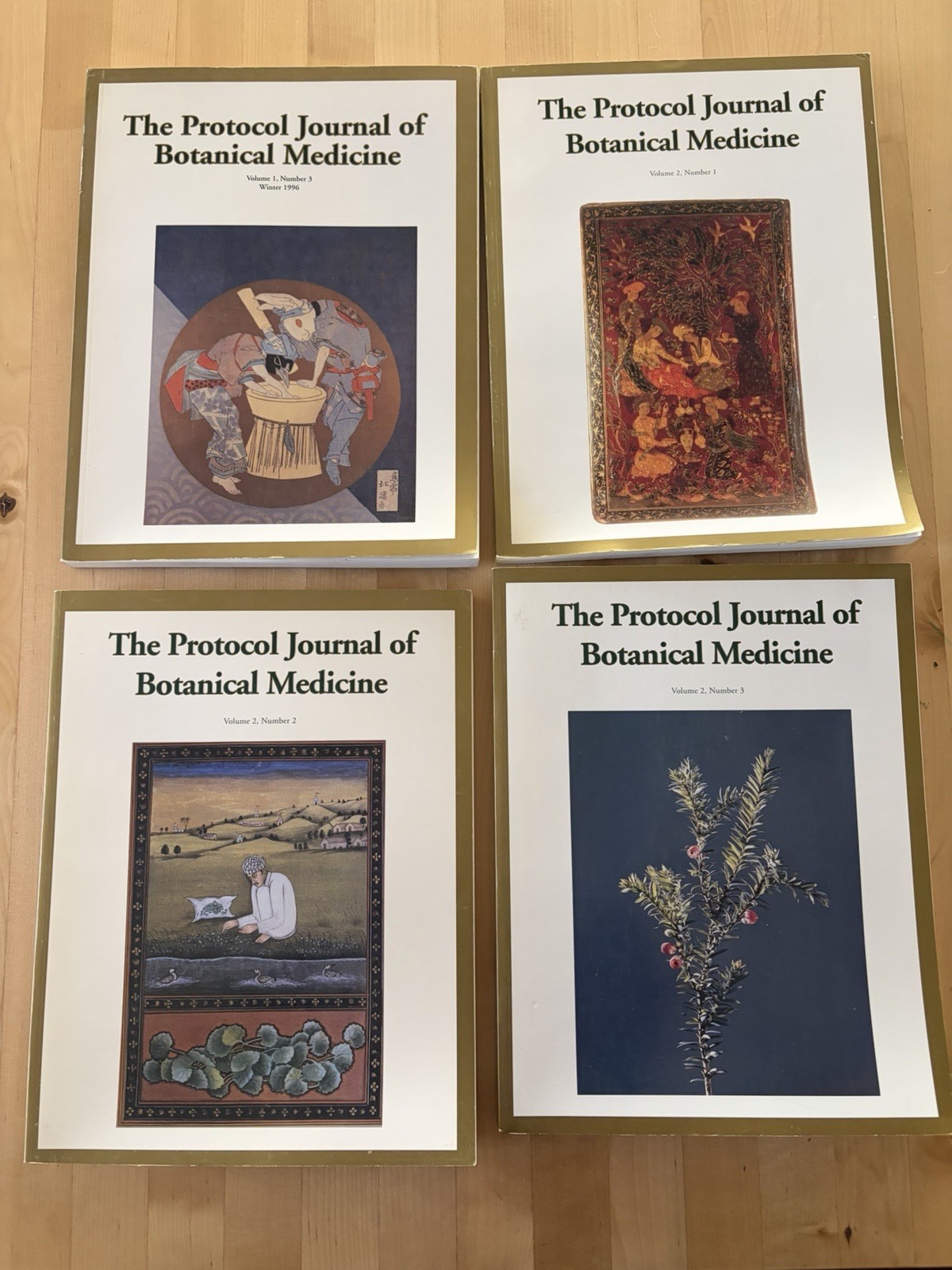 The Protocol Journal of Botanical Medicine 4 Volumes Herbal Research Lot G/VG
