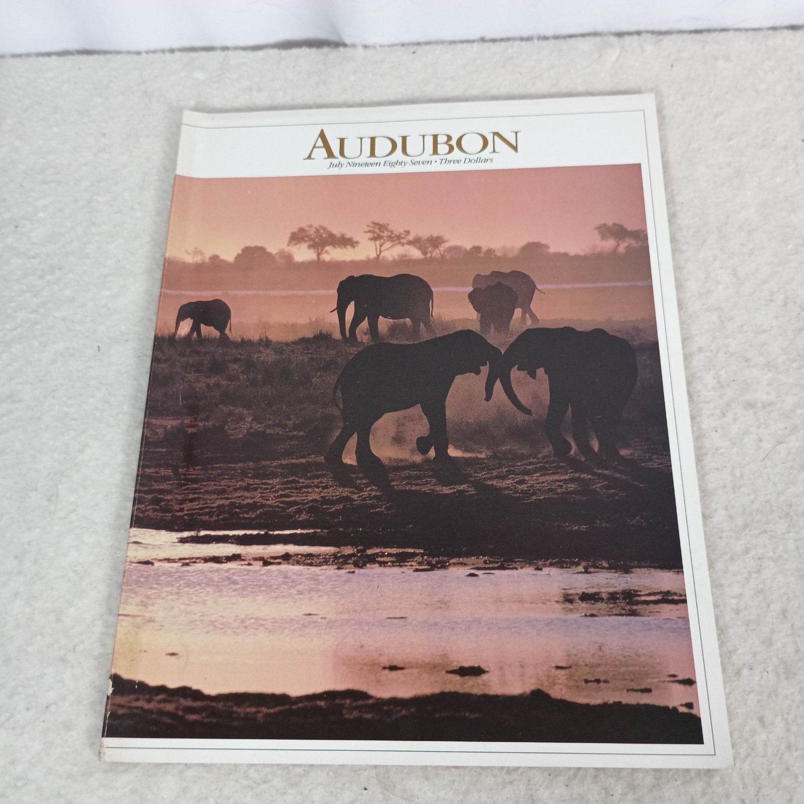 Audubon Magazine July 1987 Vol 89 No 4 Elephants Dragonflies Wildlife Vintage