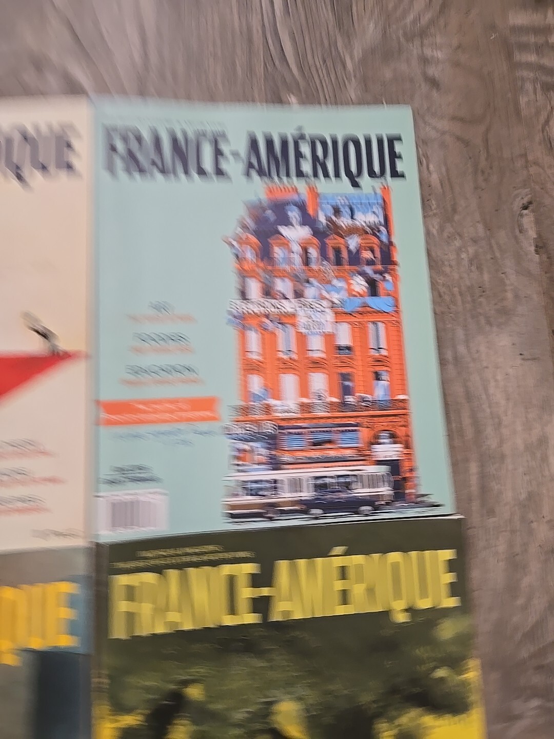 France-Amerique Bilingual 2016 (10) Issues