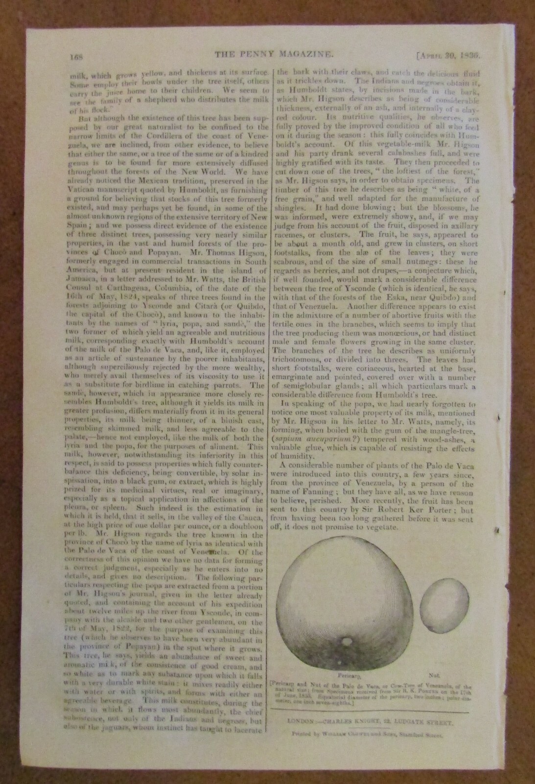 2 THE PENNY MAGAZINES 1836 No. 259 & No. 261 PETRA Barcelona MISSIONARIES