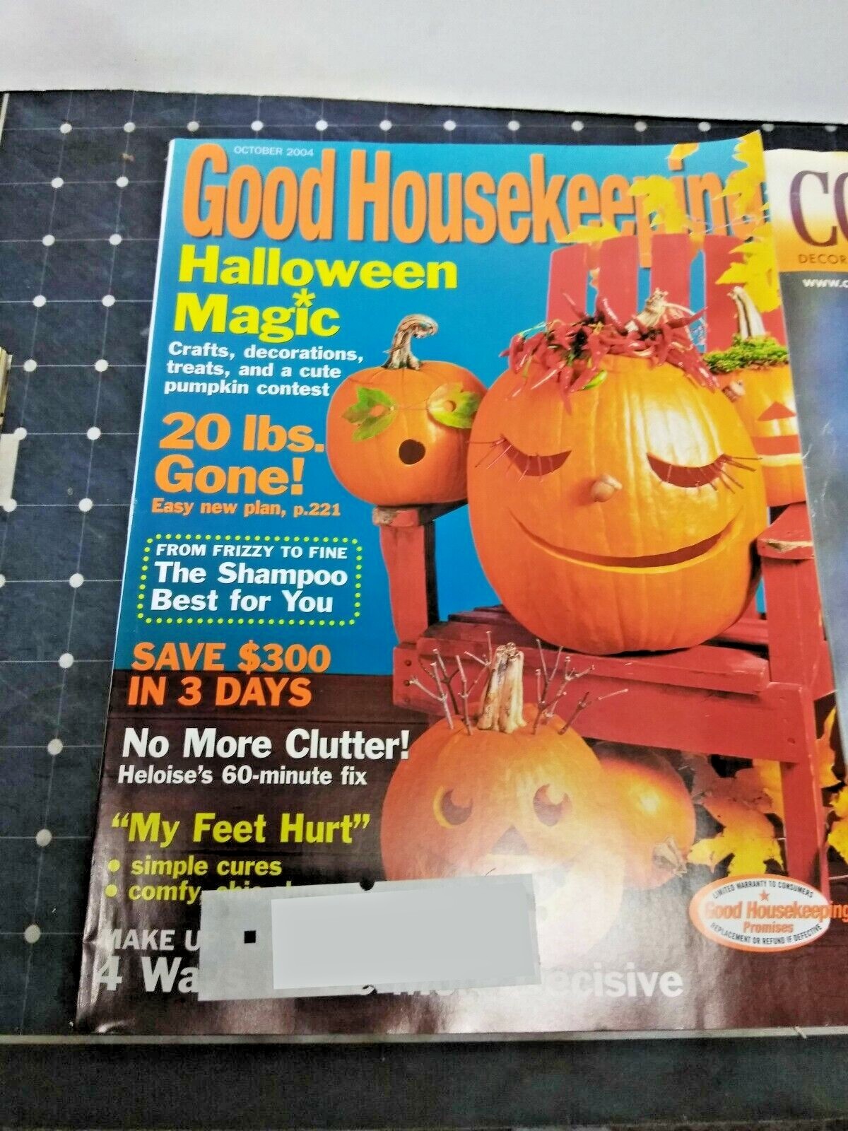 Good Housekeeping Halloween Magic Magazine October 2004 – Crafts / Decorations