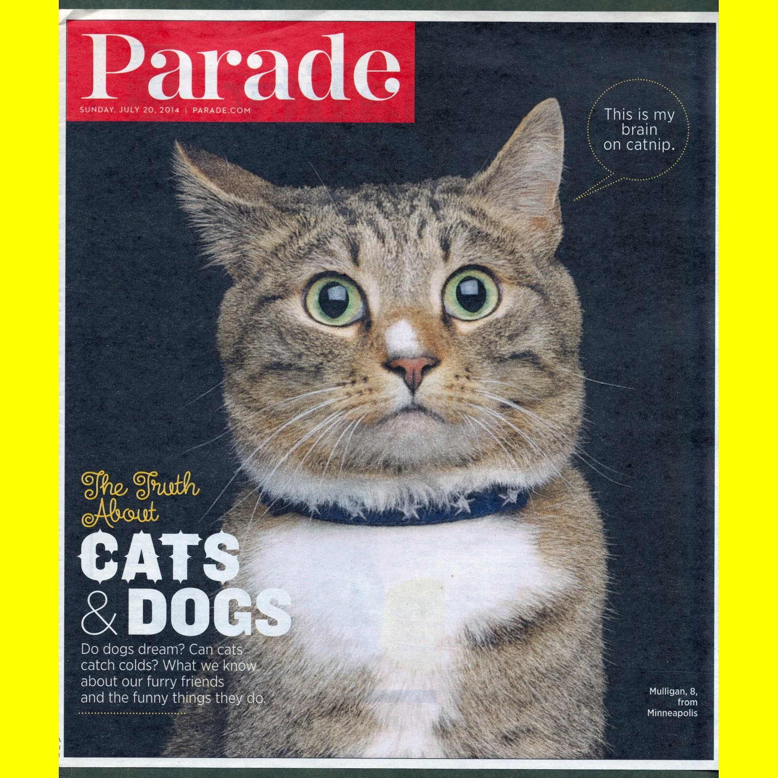 CATS AND DOGS Parade Magazine 2014 pets cute animals nature {{+BONUS stamps}}