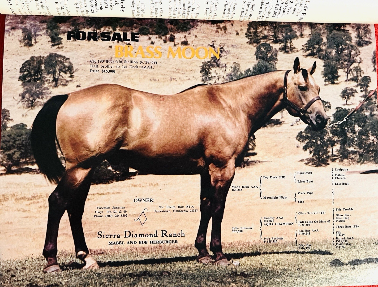 WOW!! 1974 Quarter Horse Journal, Book – MR GUN SMOKE – MR SAN PEPPY – DOC BAR
