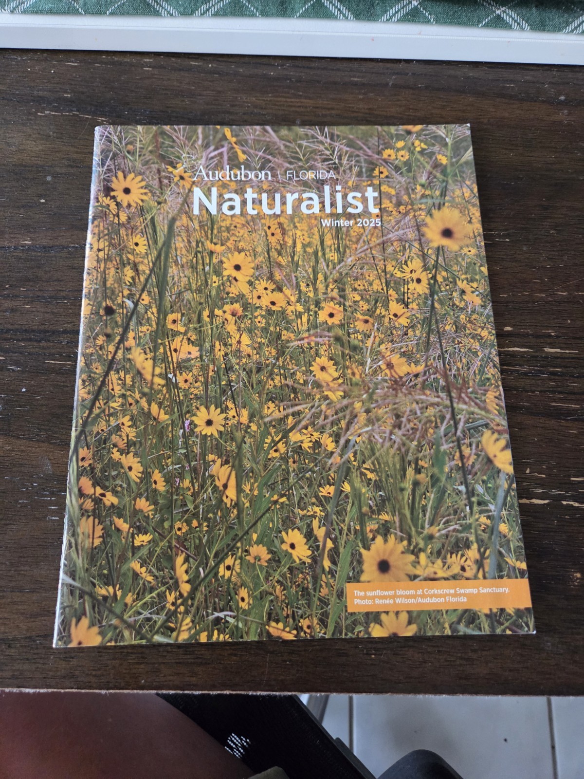 Audubon Florida Naturalist Winter 2025 Magazine by National Audubon