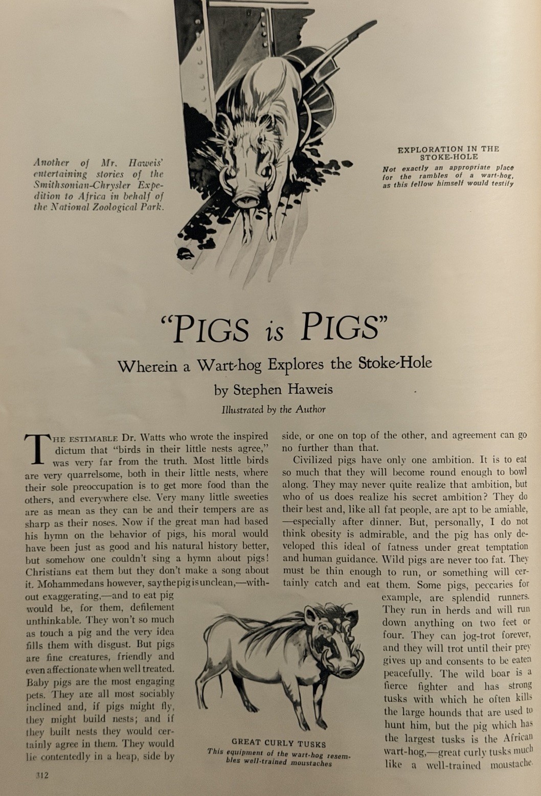 Nature Magazine May 1928 Vol 11 No 5 Roses Dogs Indian Detour Warthog