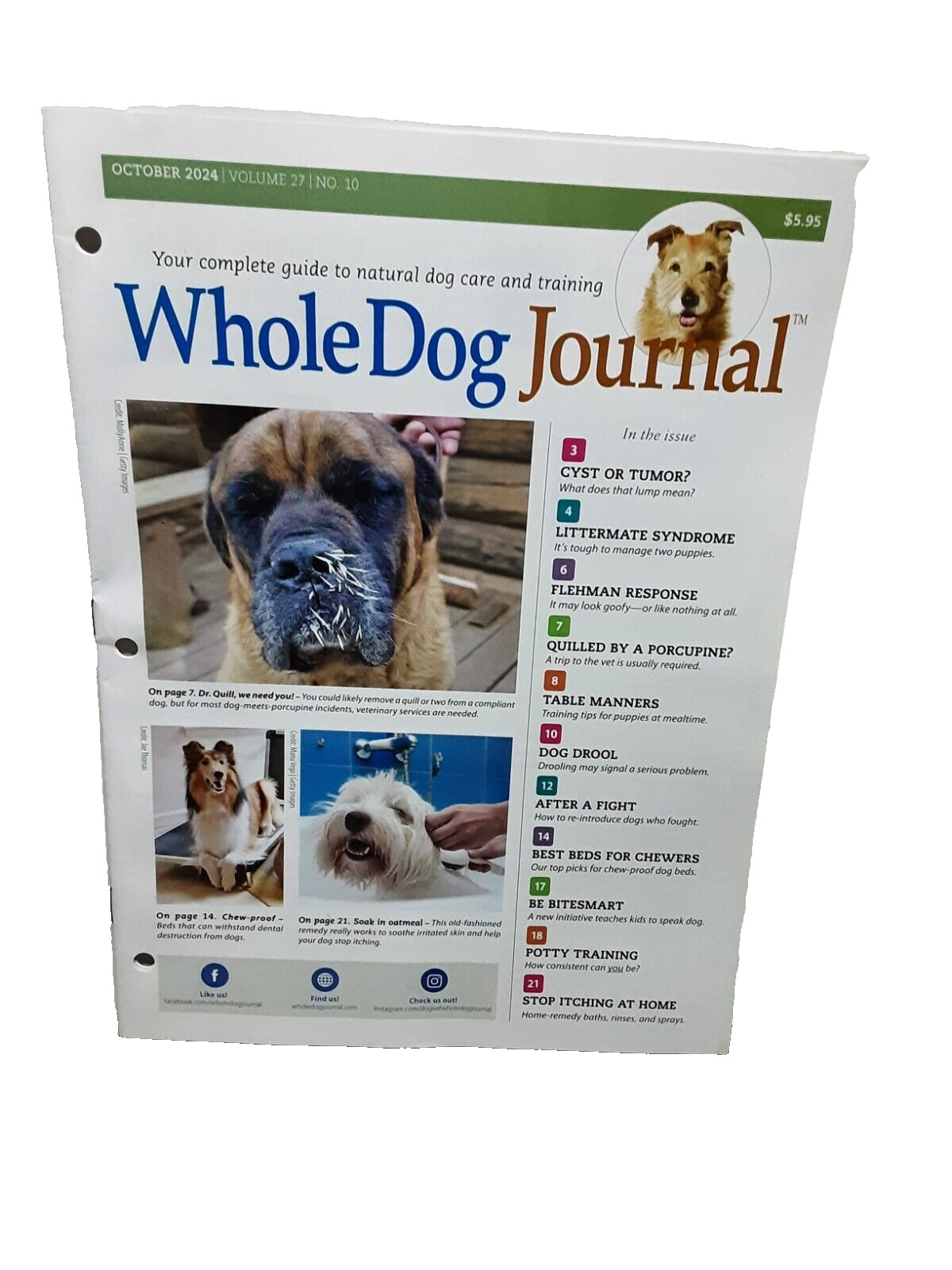 Whole Dog Journal October 2024 Guide To Natural Dog Care Training