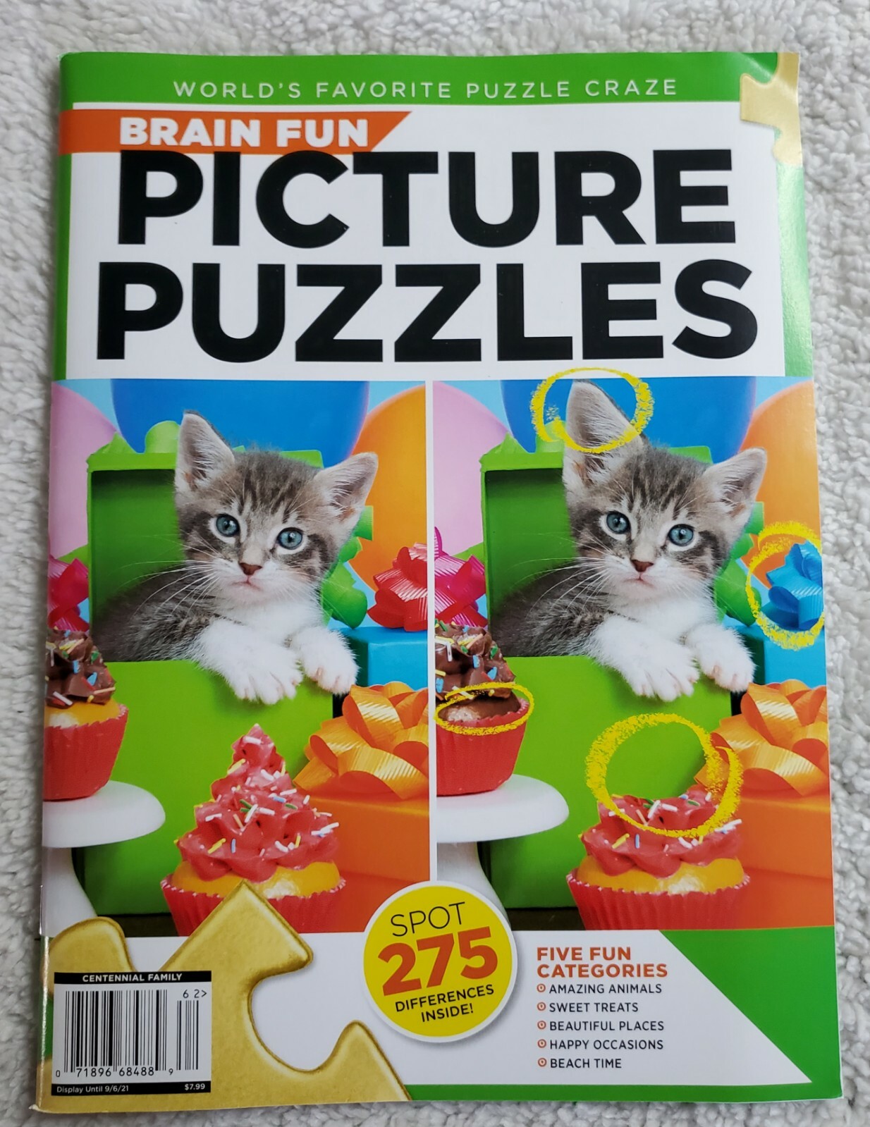 BRAIN FUN Magazine ☆ PICTURE PUZZLES ☆ Spot 275 Differences ☆ 5 Fun Categories