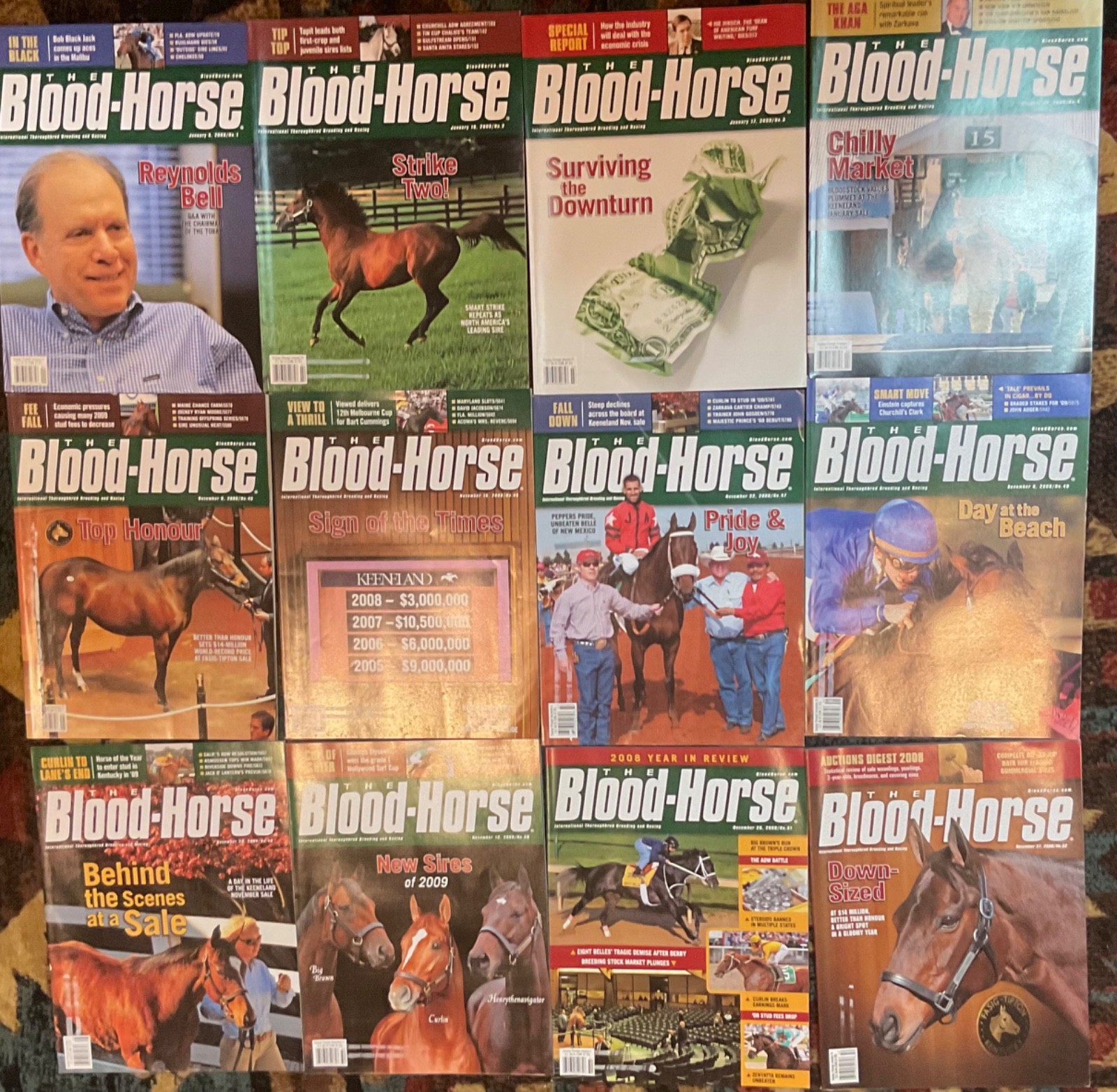 Lot of 12 The Blood-Horse Magazines (2008-2009) Thoroughbred Racing Breeds
