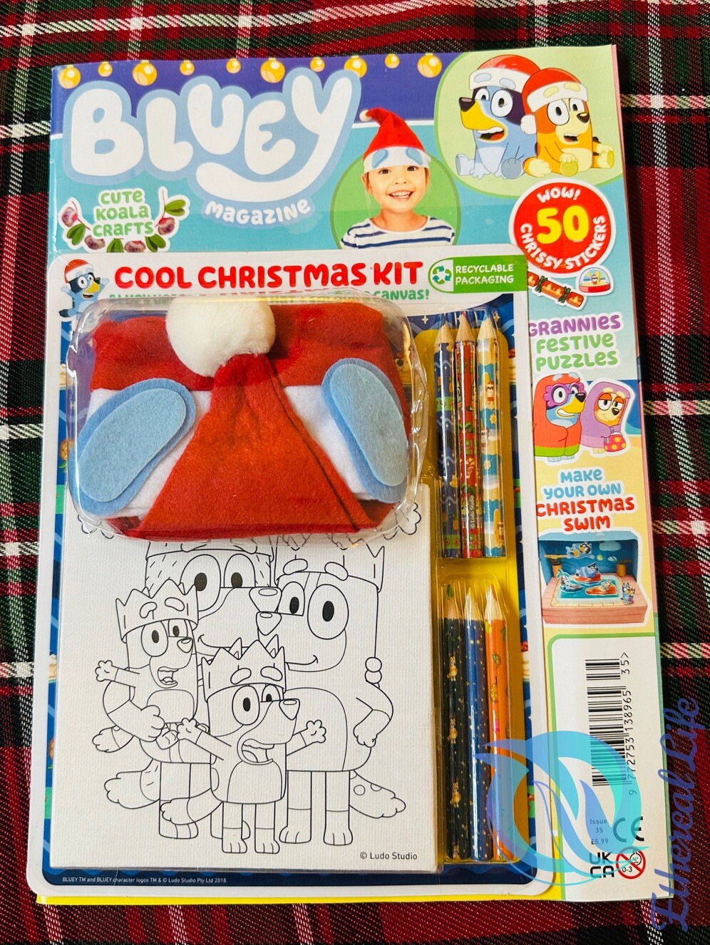 Bluey Christmas magazine