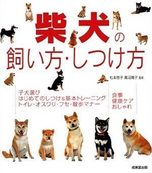 How to raise and train a Shiba Inu Book Seibido Publishing Japanese